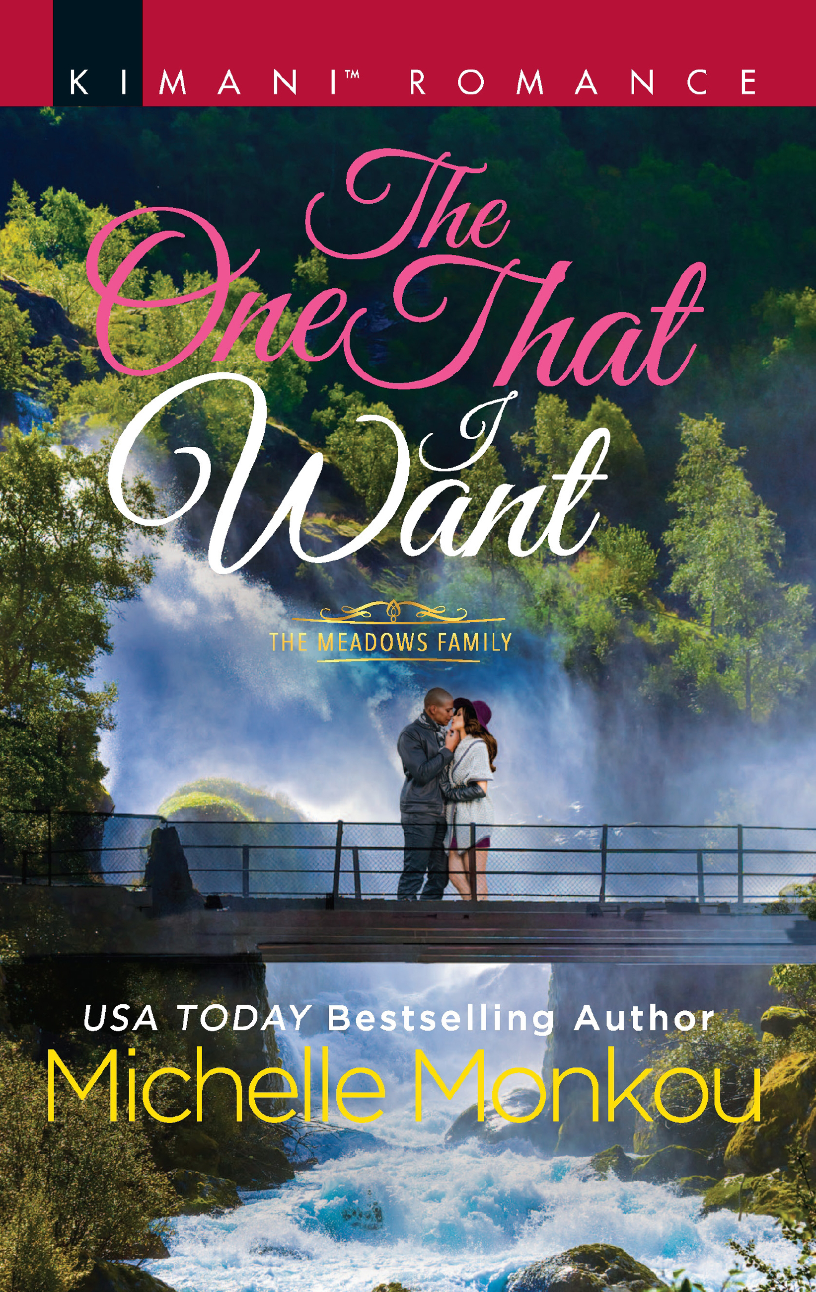 Обложка книги «The One That I Want»