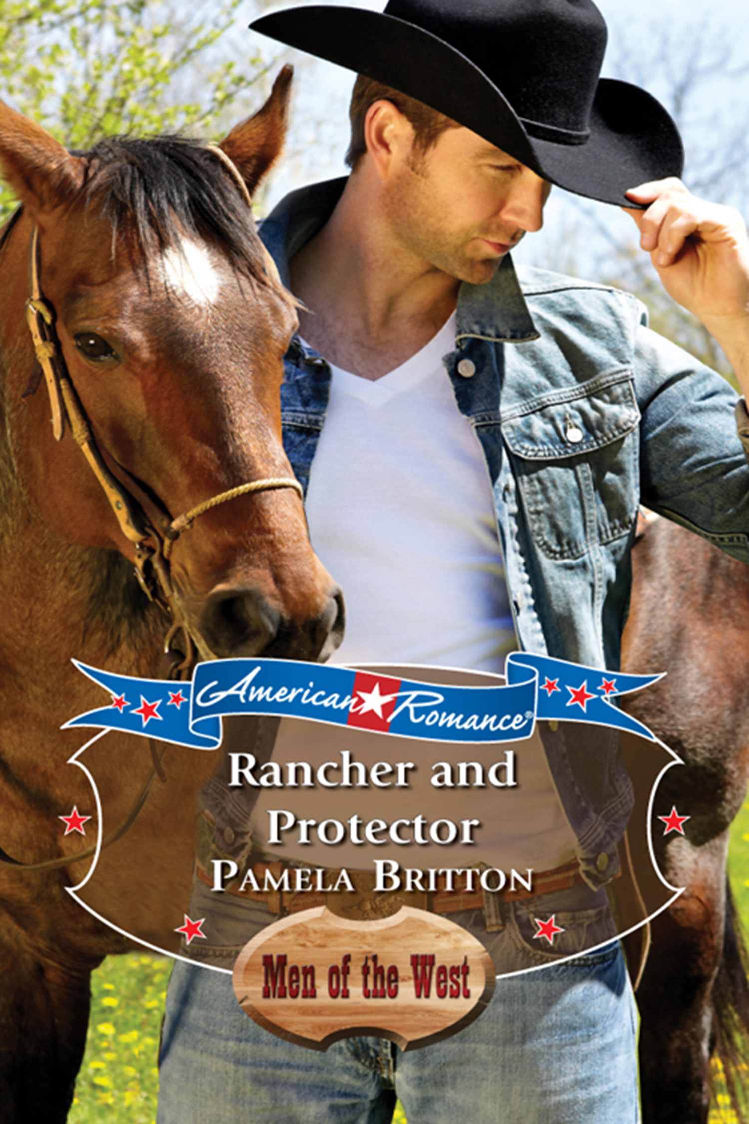 Обложка книги «Rancher and Protector»