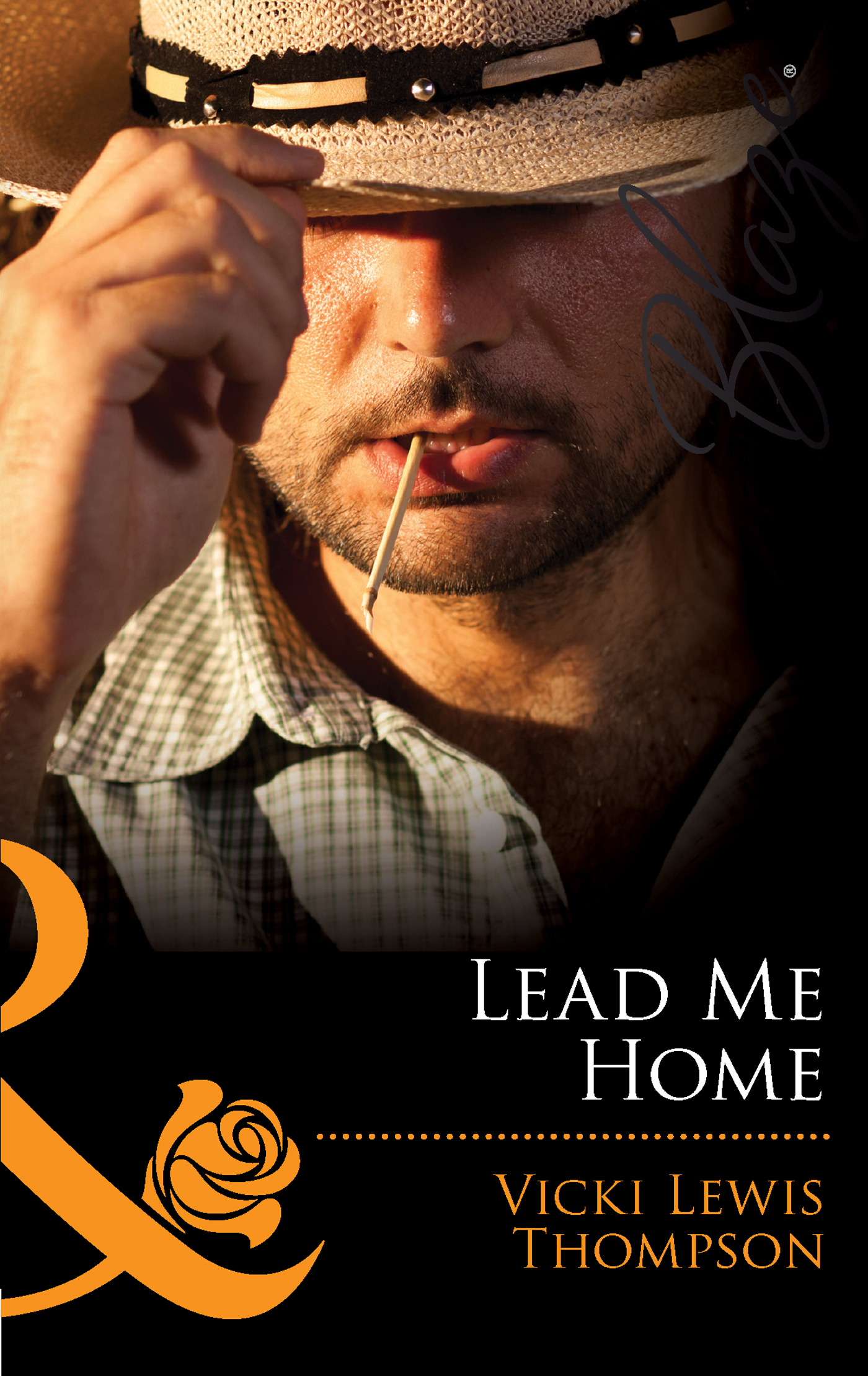 Обложка книги «Lead Me Home»