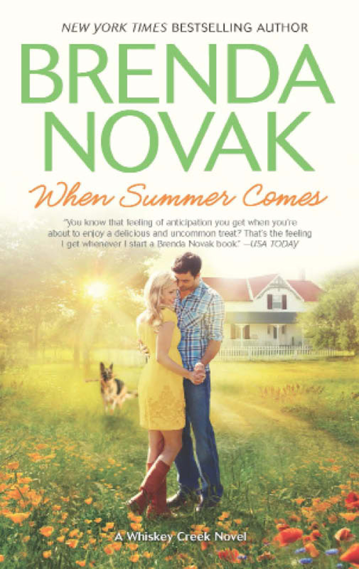 Обложка книги «When Summer Comes»