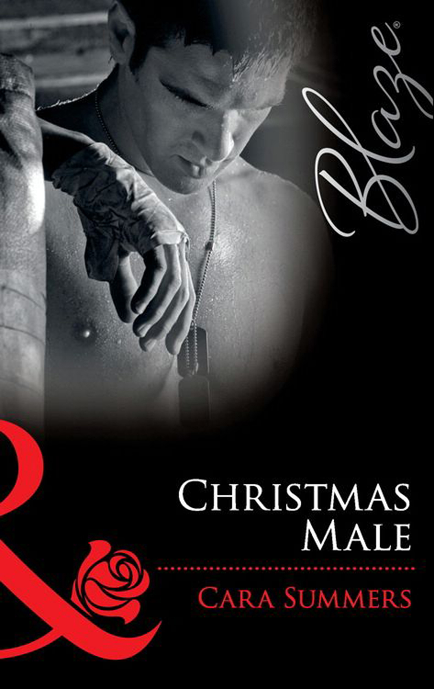 Обложка книги «Christmas Male»