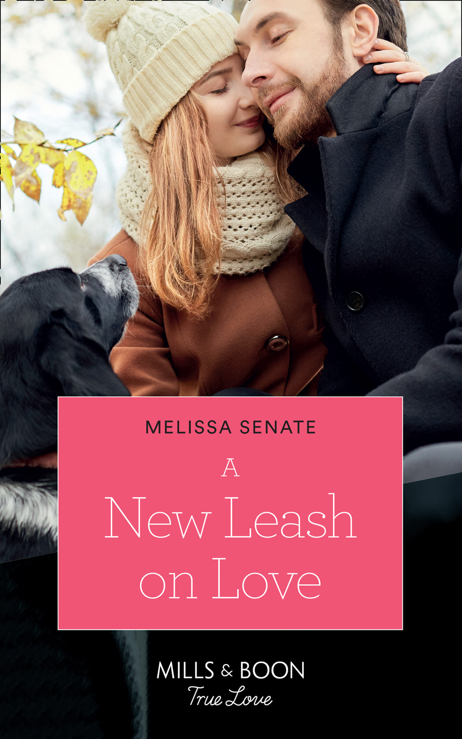 Обложка книги «A New Leash On Love»