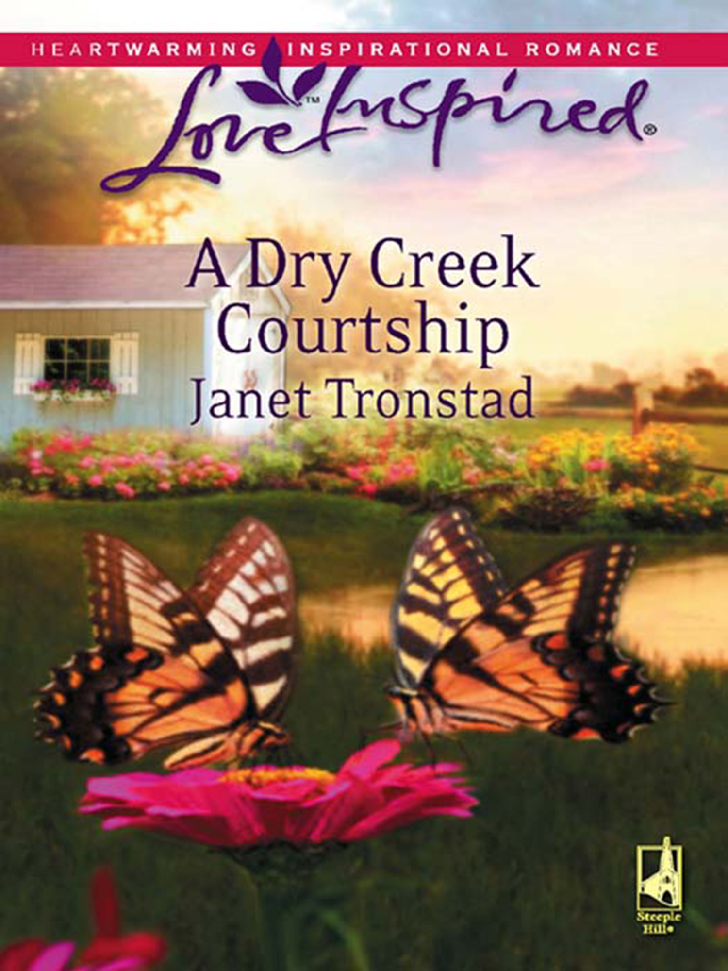 Обложка книги «A Dry Creek Courtship»