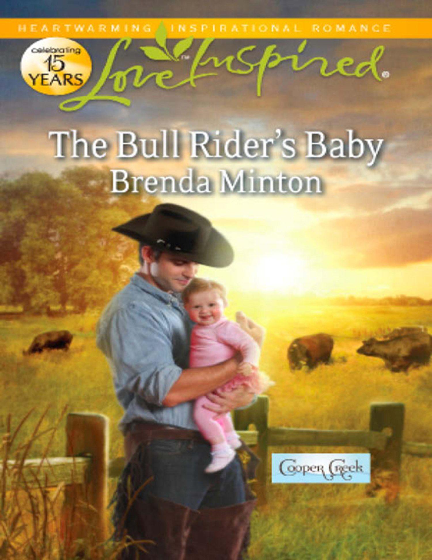 Обложка книги «The Bull Rider's Baby»