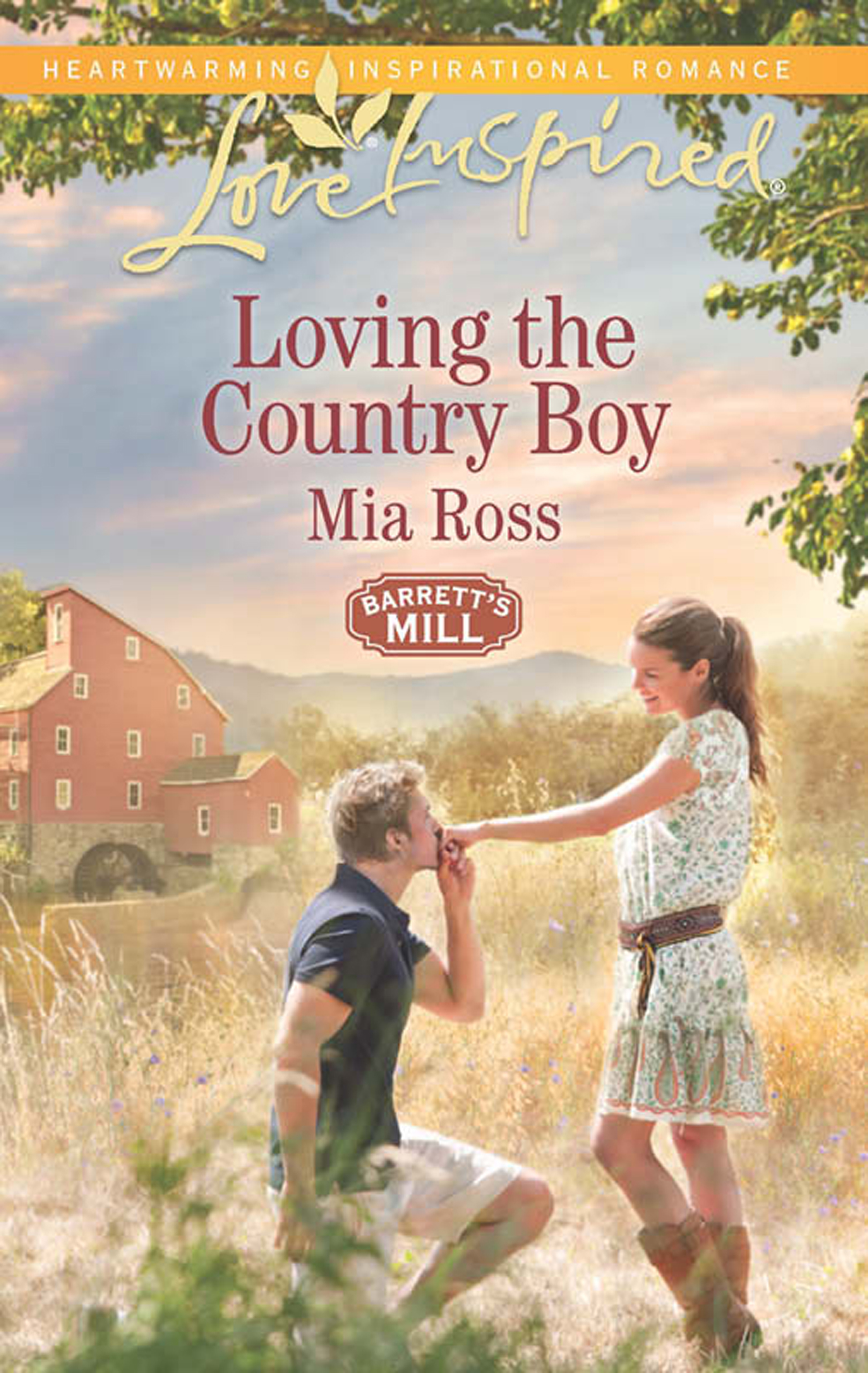 Обложка книги «Loving the Country Boy»