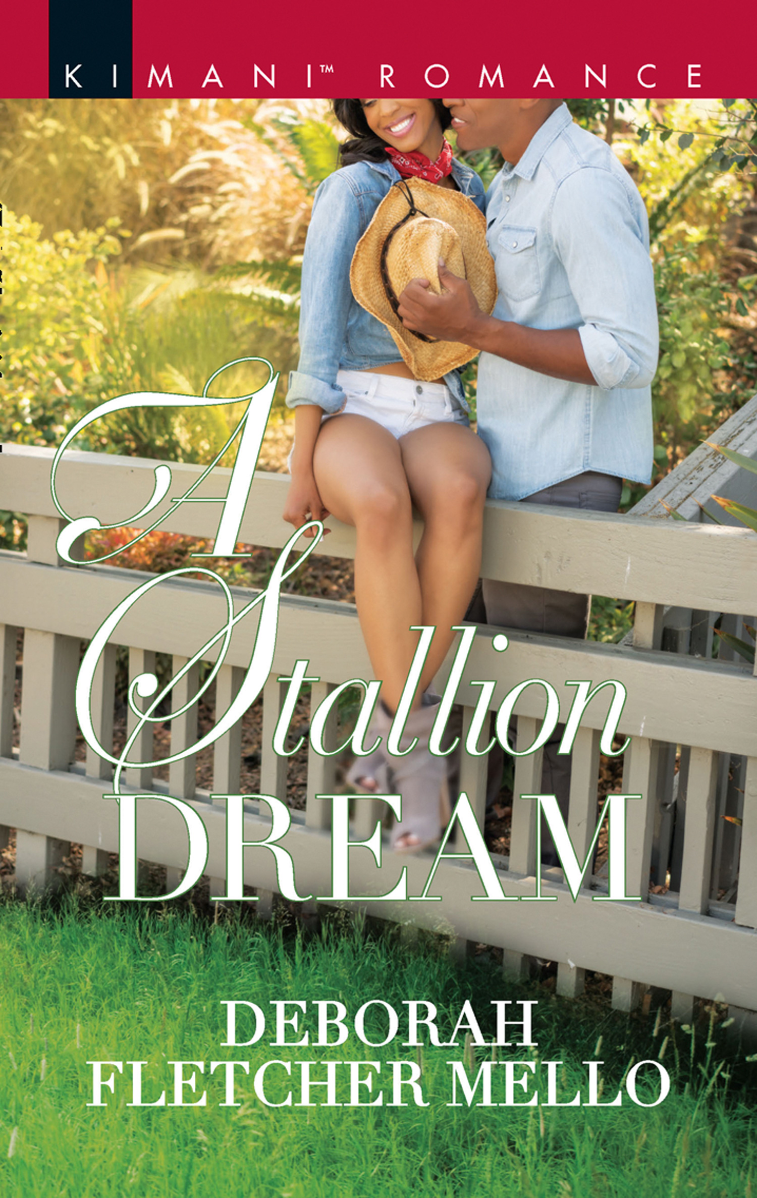 Обложка книги «A Stallion Dream»