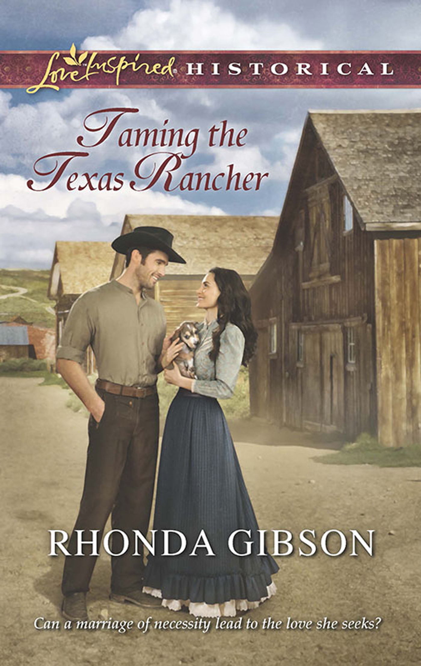 Обложка книги «Taming the Texas Rancher»