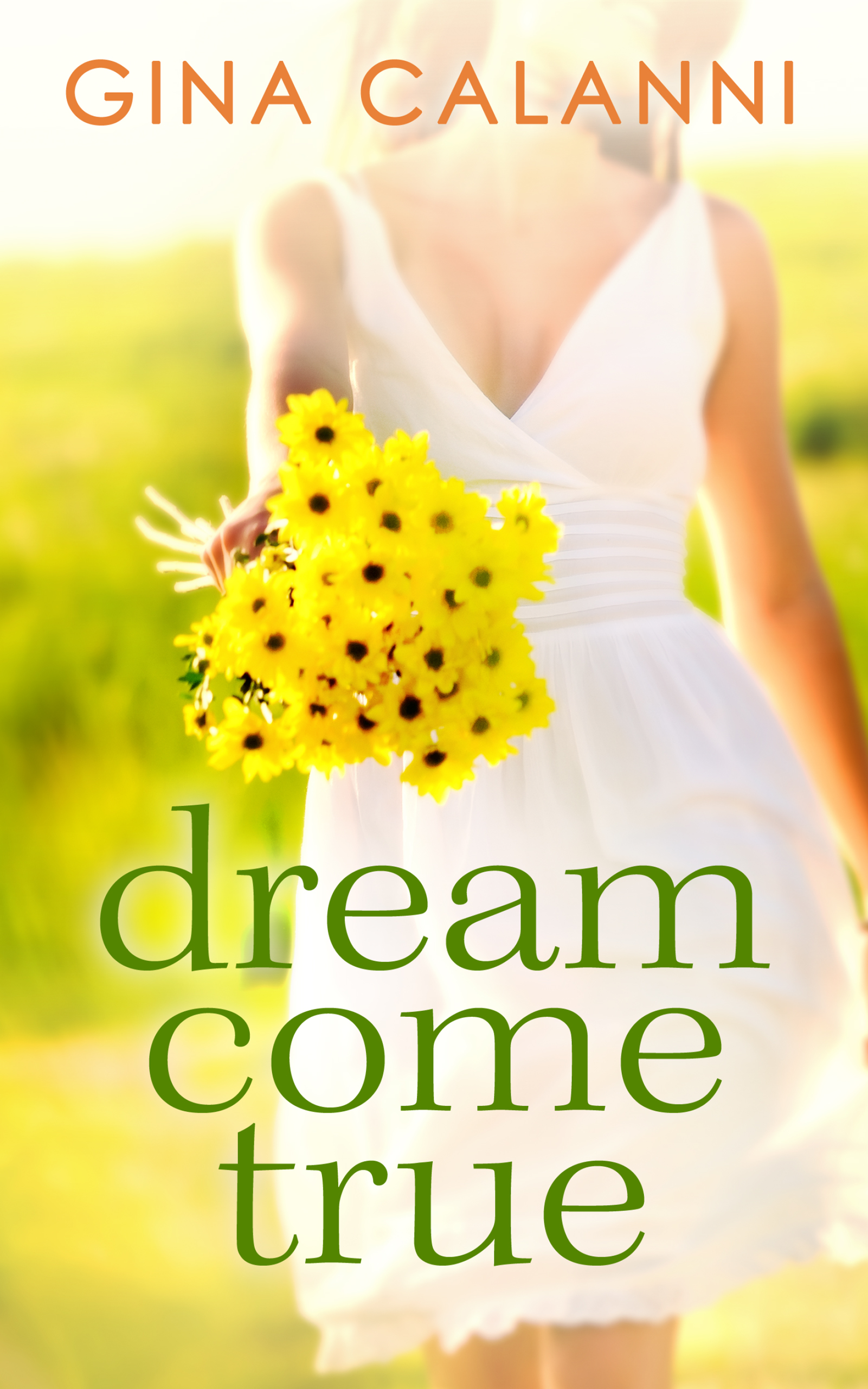 Обложка книги «Dream Come True»