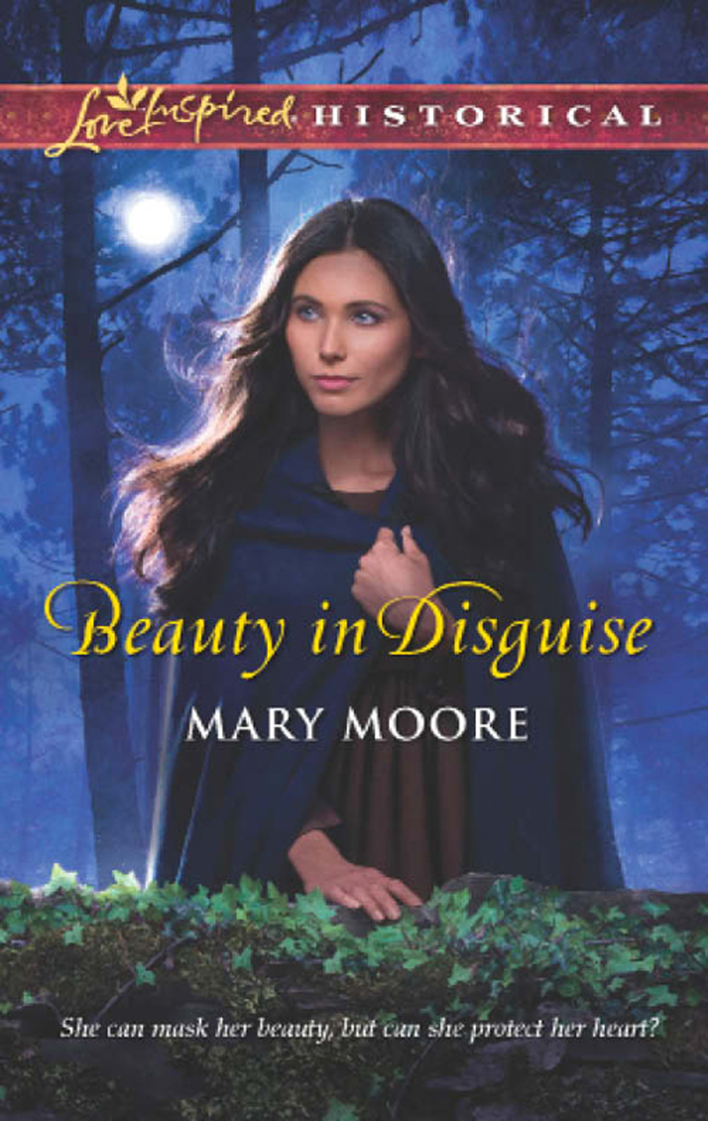Обложка книги «Beauty in Disguise»
