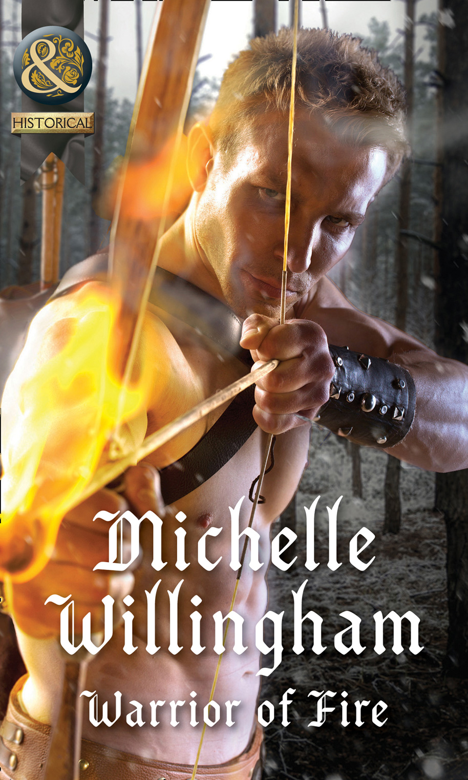 Обложка книги «Warrior Of Fire»