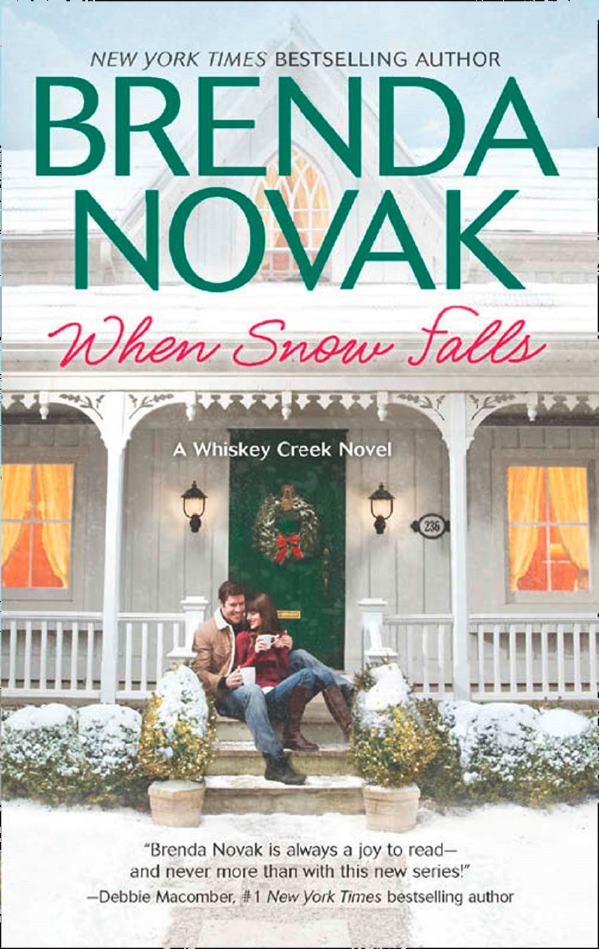 Обложка книги «When Snow Falls»