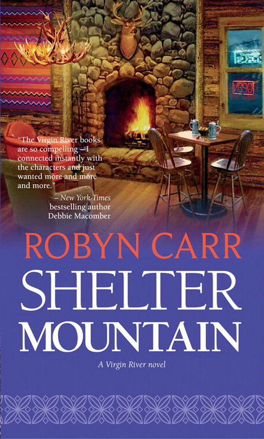 Обложка книги «Shelter Mountain»