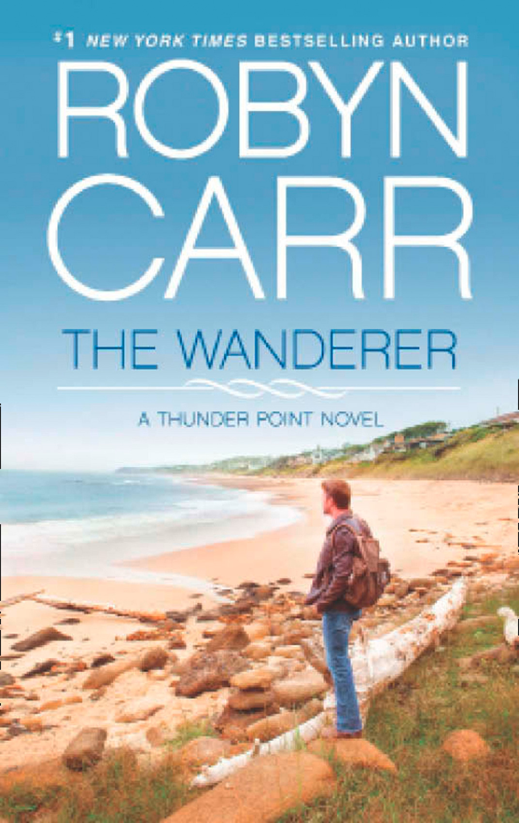 Обложка книги «The Wanderer»