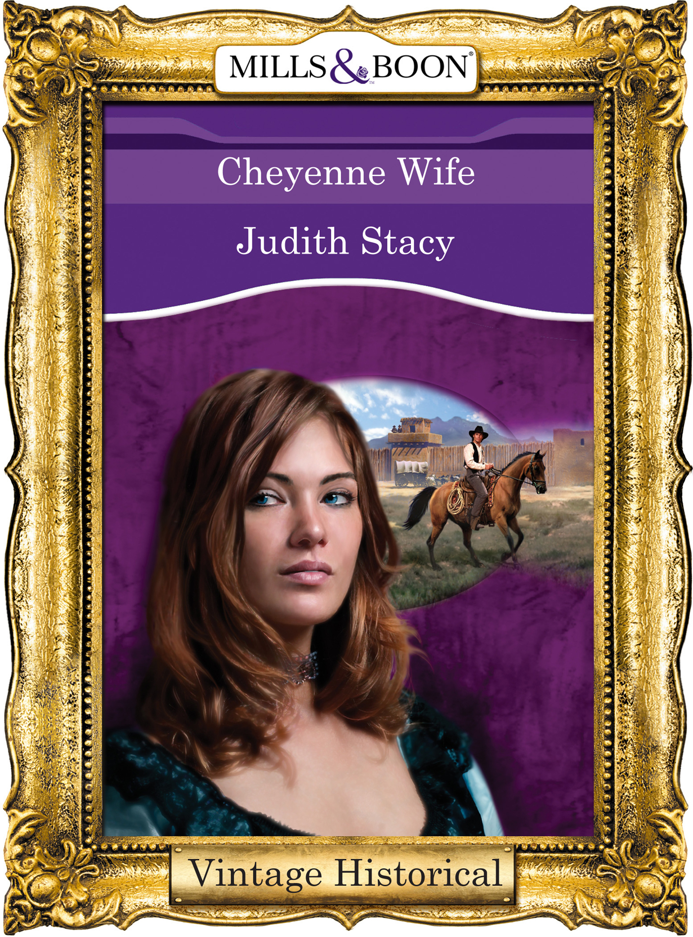 Обложка книги «Cheyenne Wife»