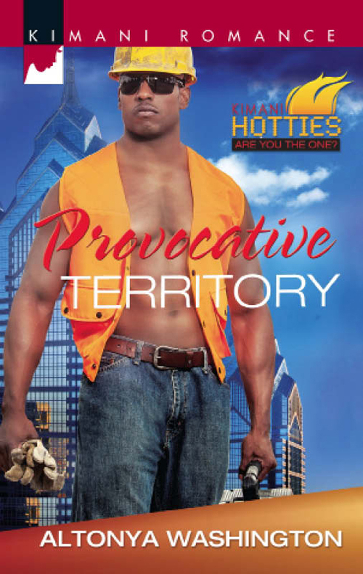 Обложка книги «Provocative Territory»