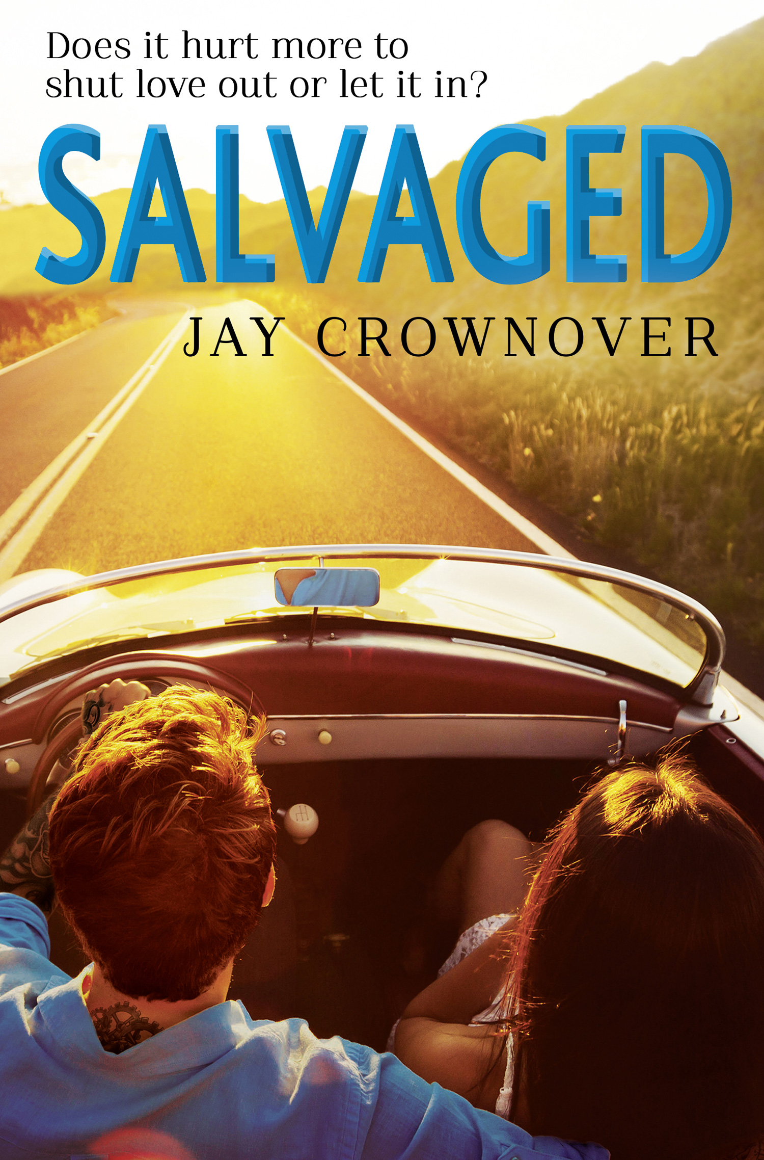 Обложка книги «Salvaged»
