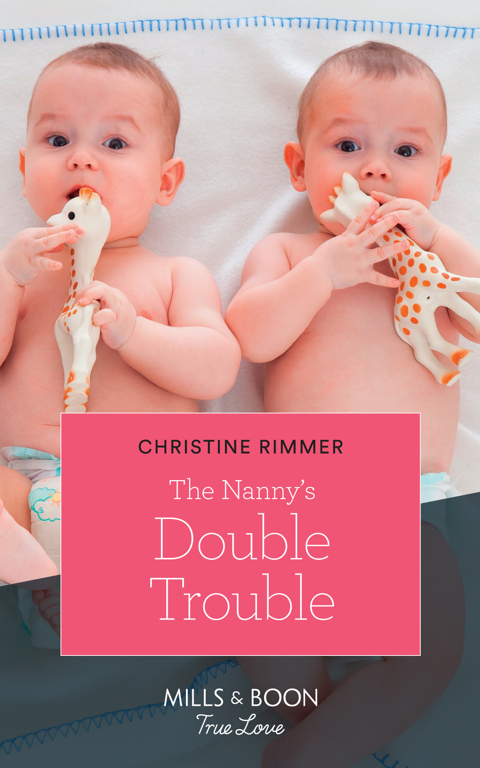 Обложка книги «The Nanny's Double Trouble»