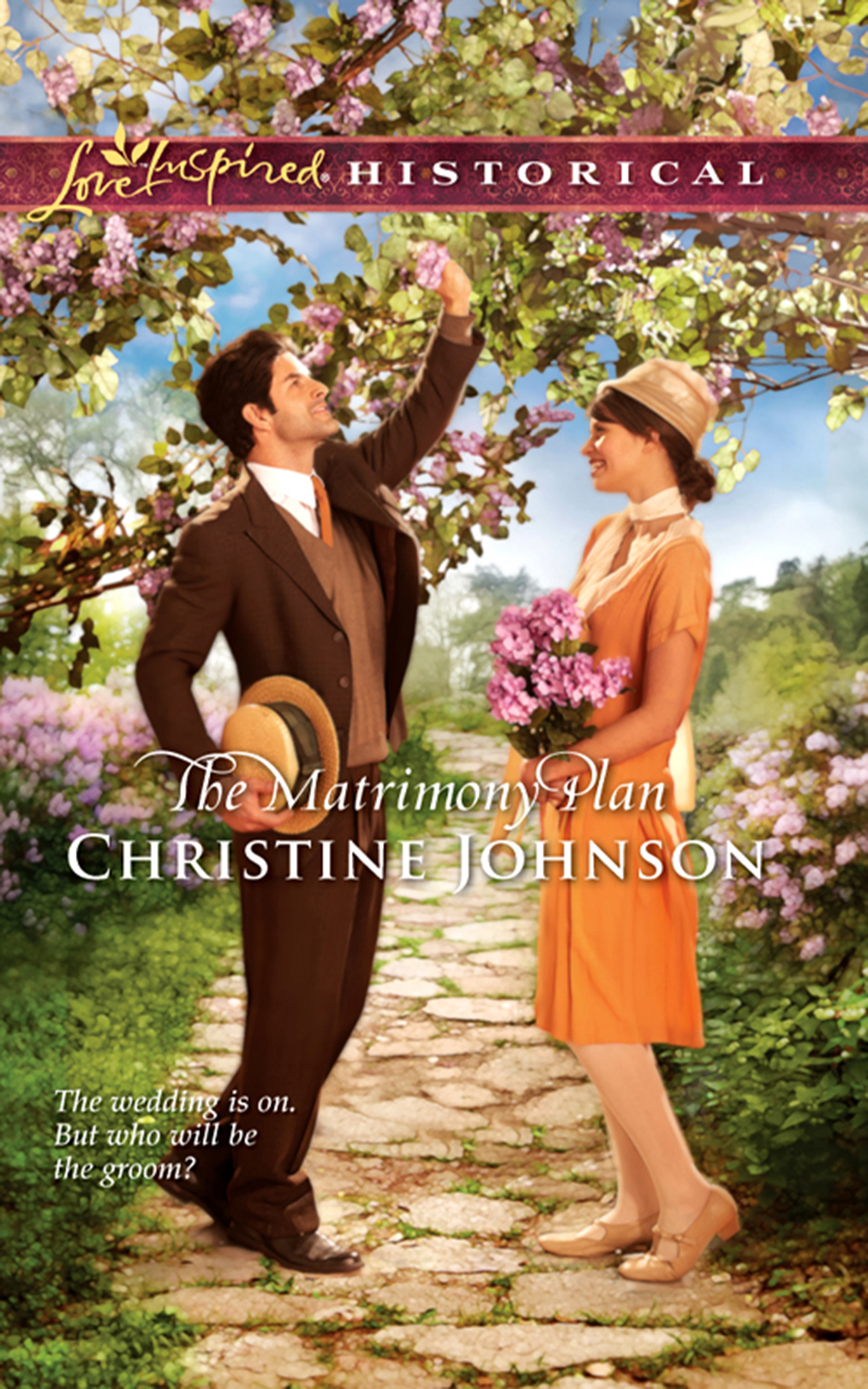 Обложка книги «The Matrimony Plan»
