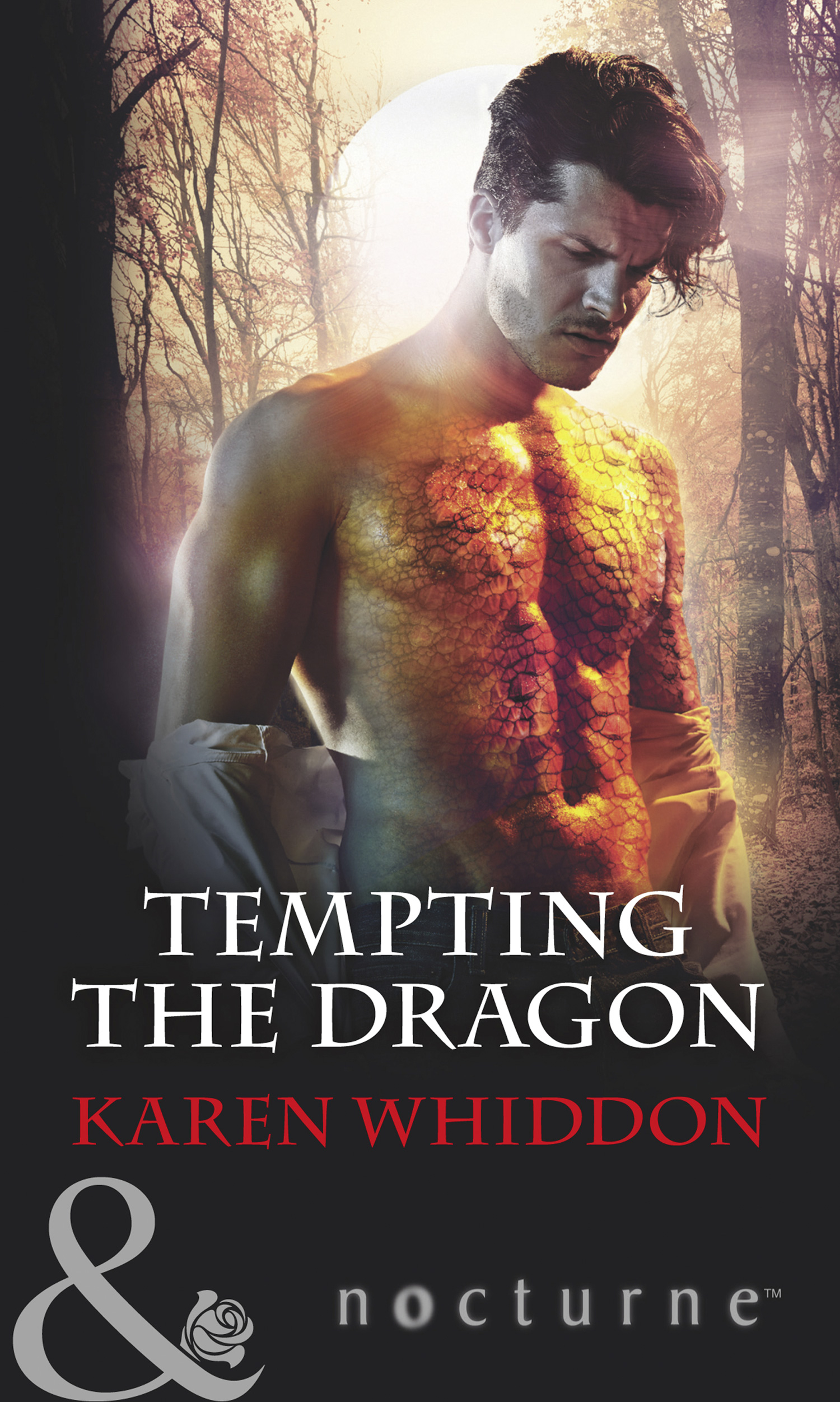 Обложка книги «Tempting The Dragon»