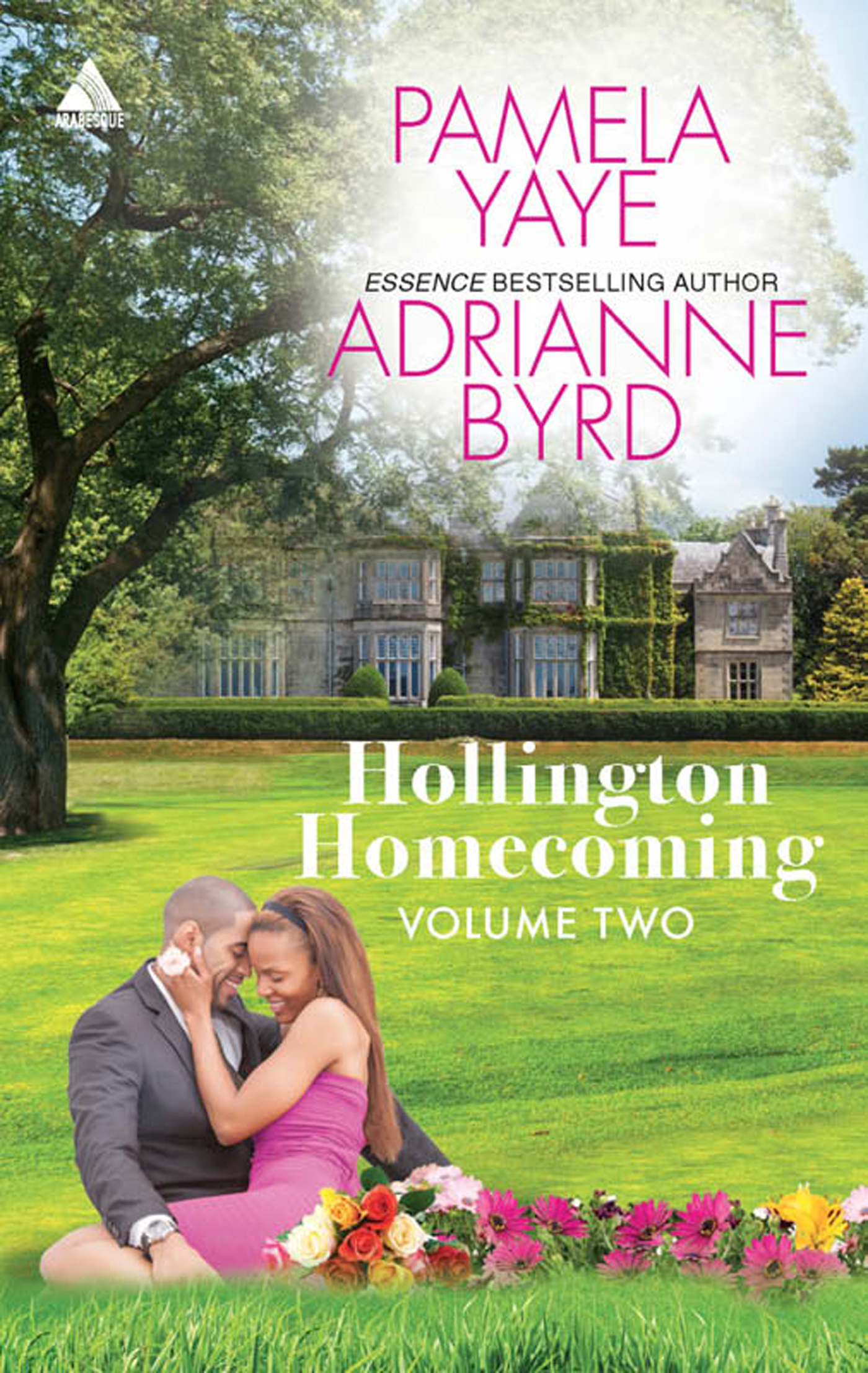 Обложка книги «Hollington Homecoming, Volume Two: Passion Overtime»