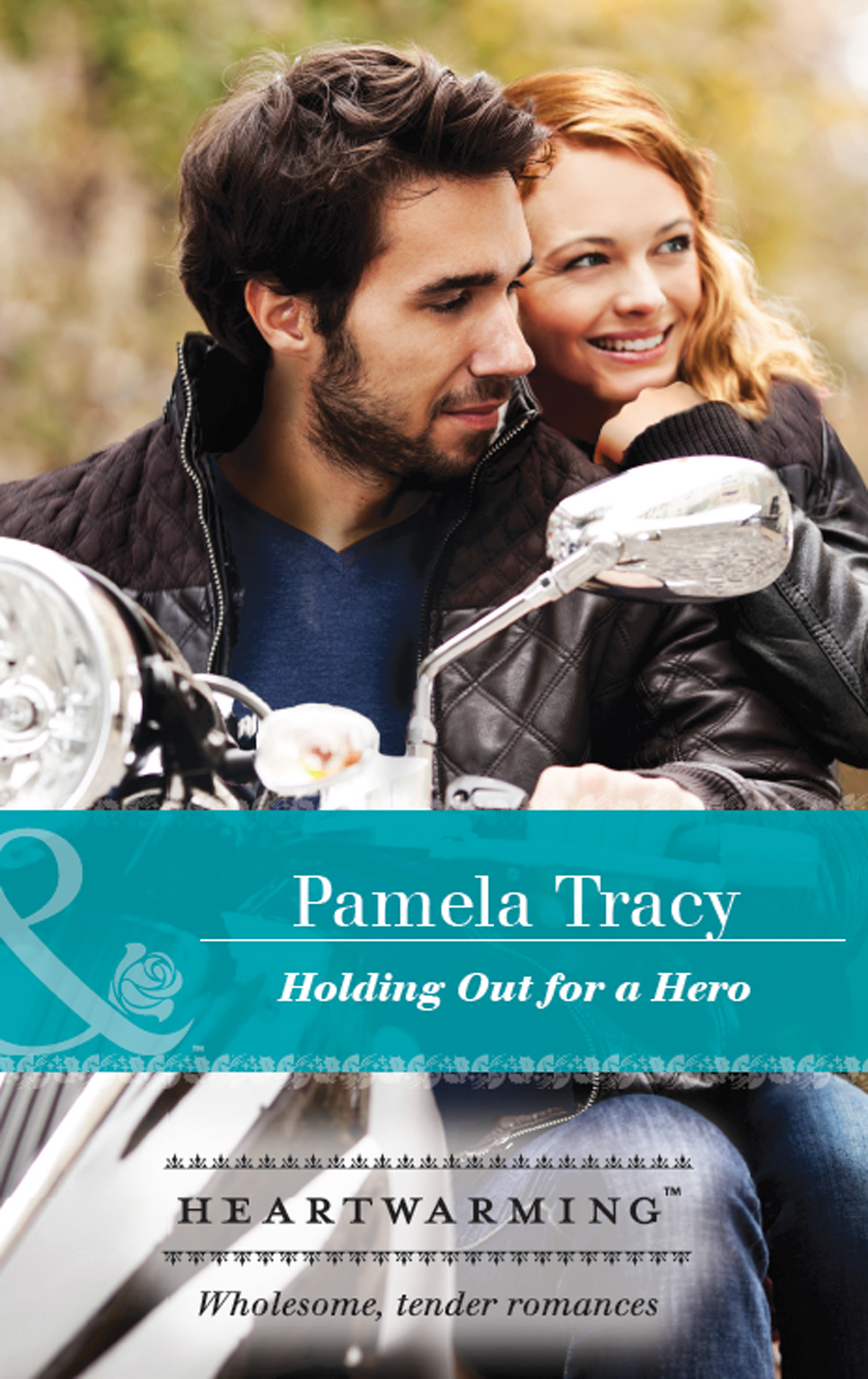Обложка книги «Holding Out For A Hero»