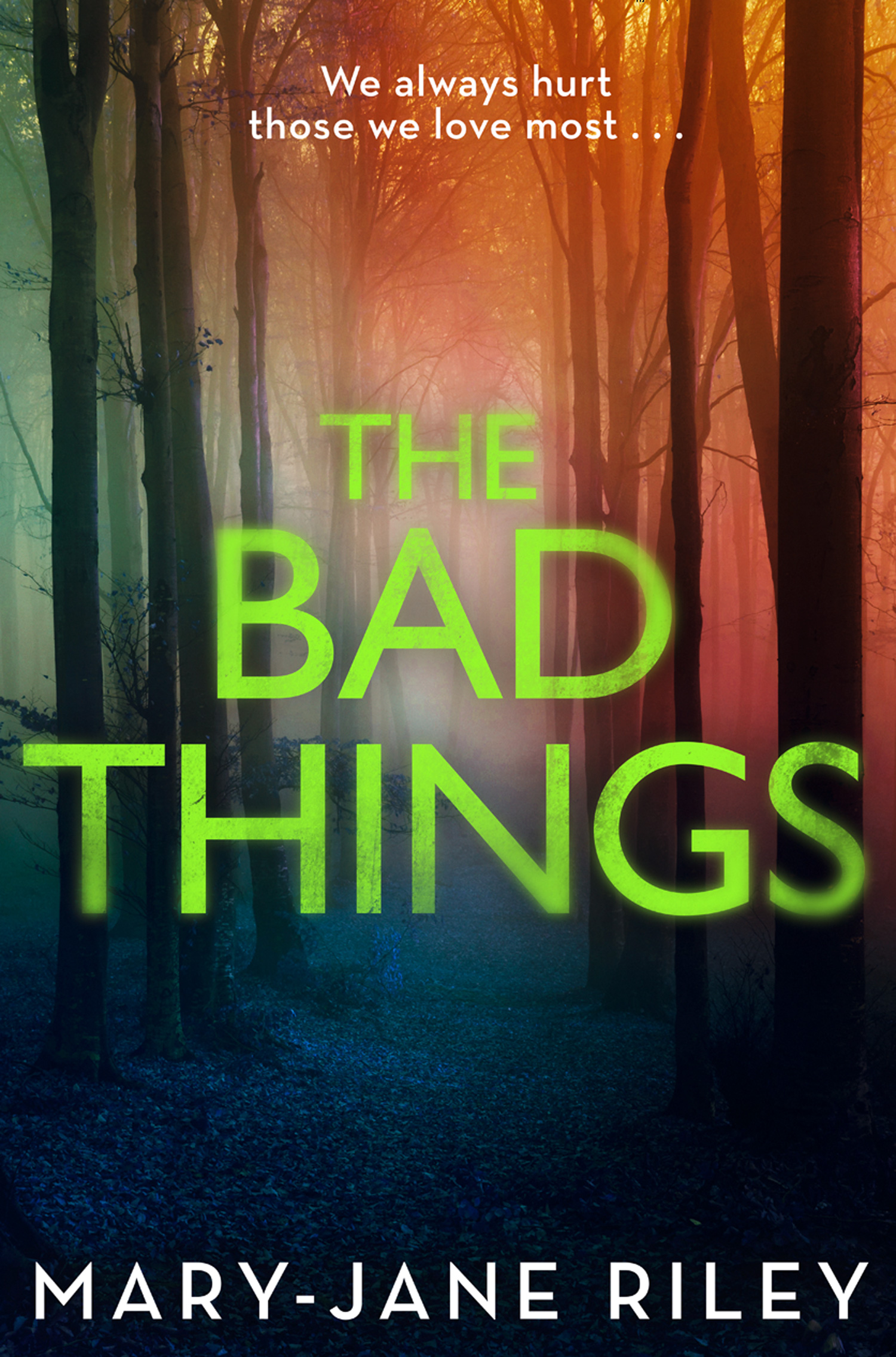 Обложка книги «The Bad Things: A gripping crime thriller full of twists and turns»