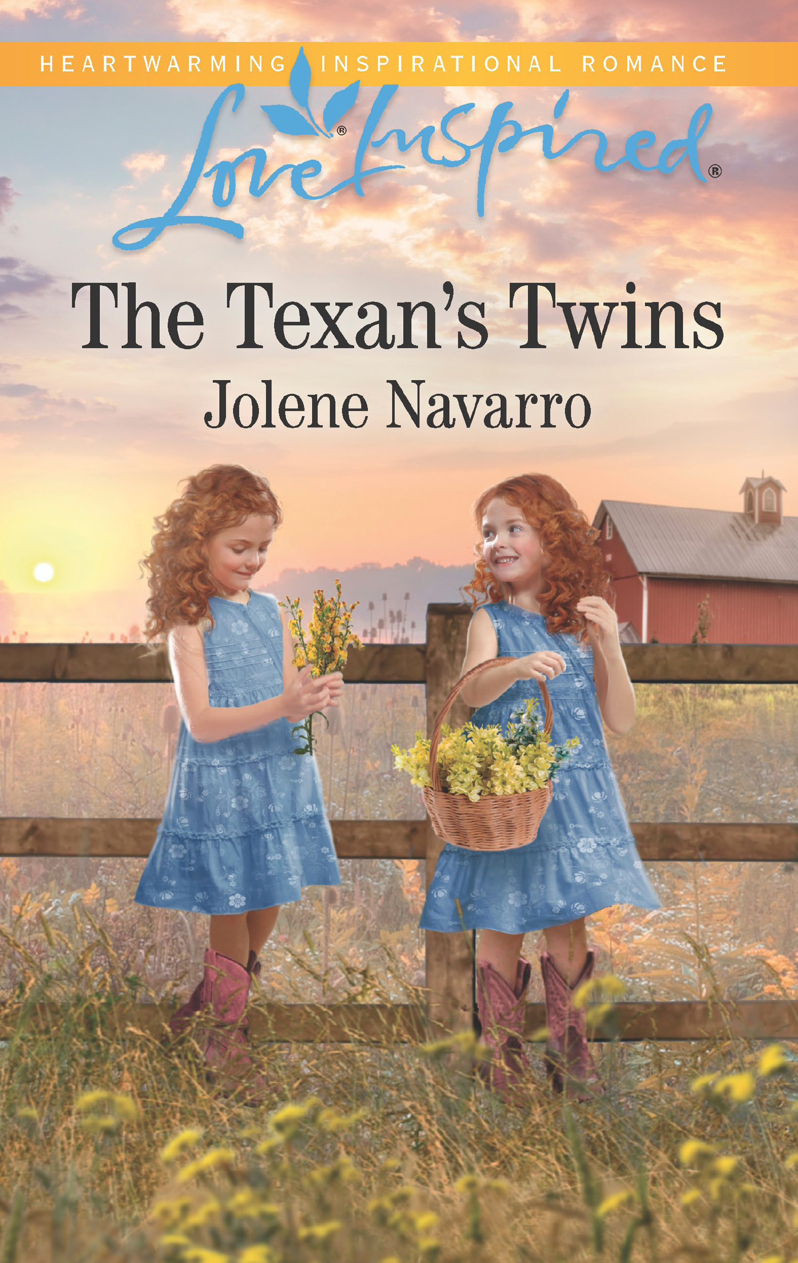 Обложка книги «The Texan's Twins»