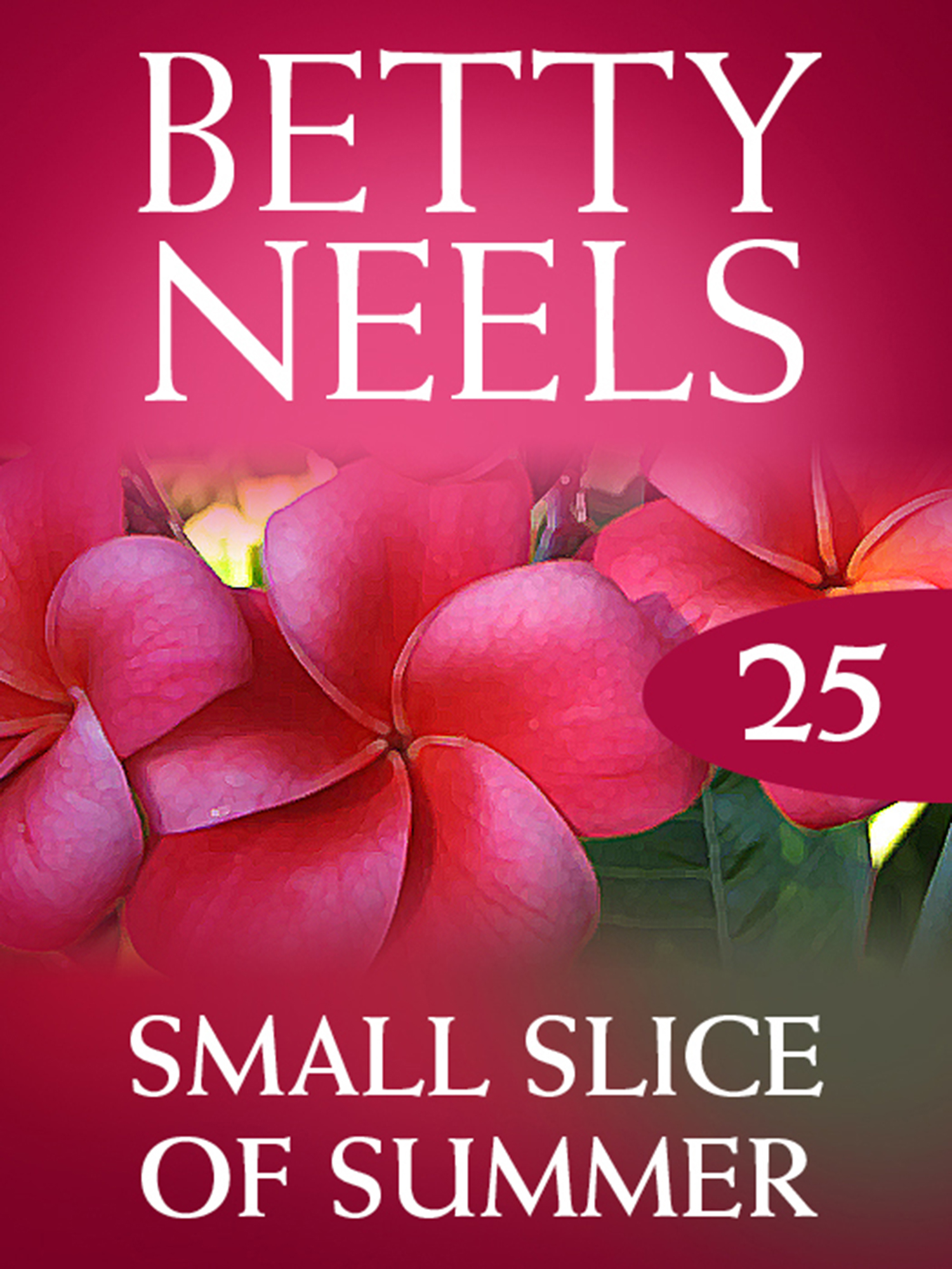 Обложка книги «Small Slice of Summer»