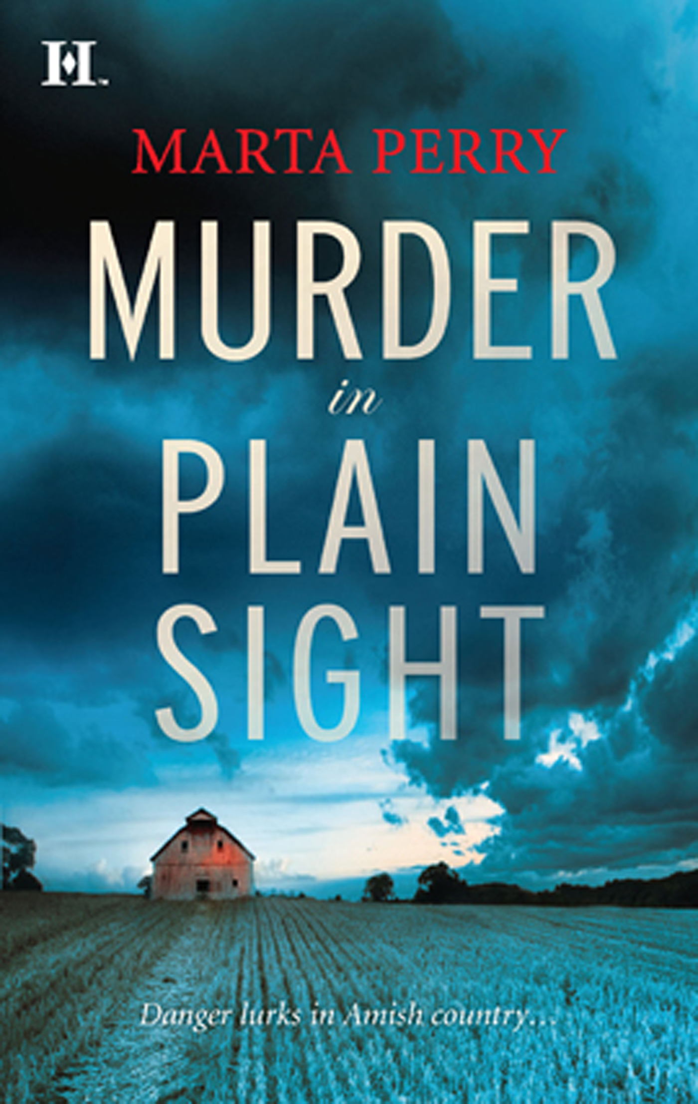 Обложка книги «Murder in Plain Sight»
