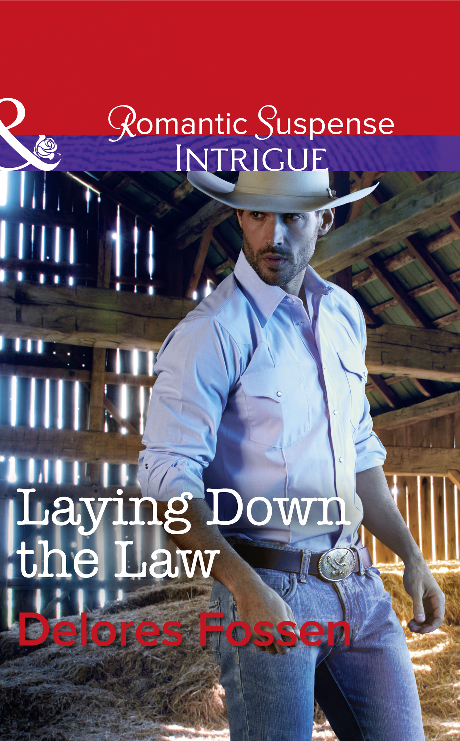 Обложка книги «Laying Down The Law»