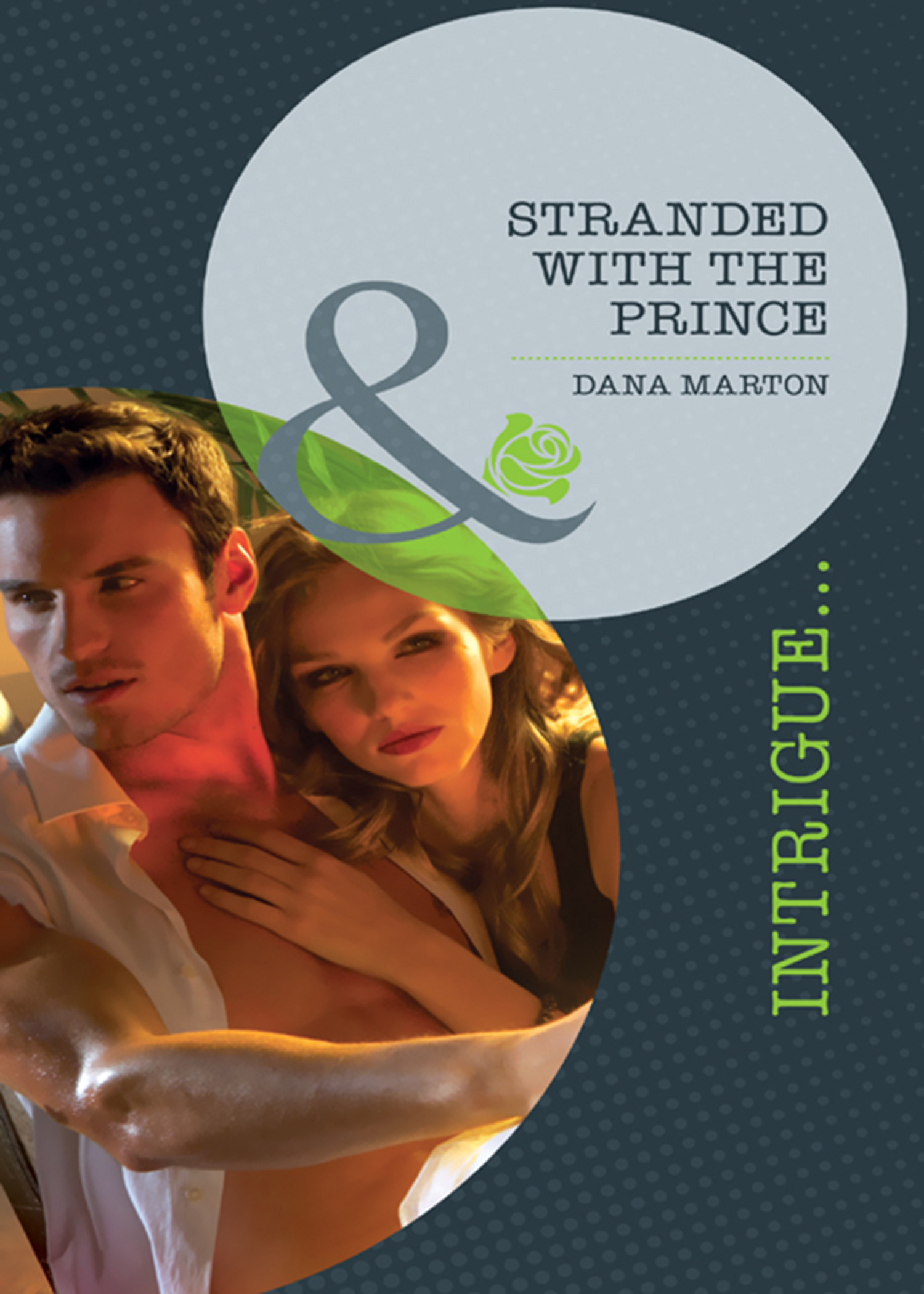 Обложка книги «Stranded with the Prince»