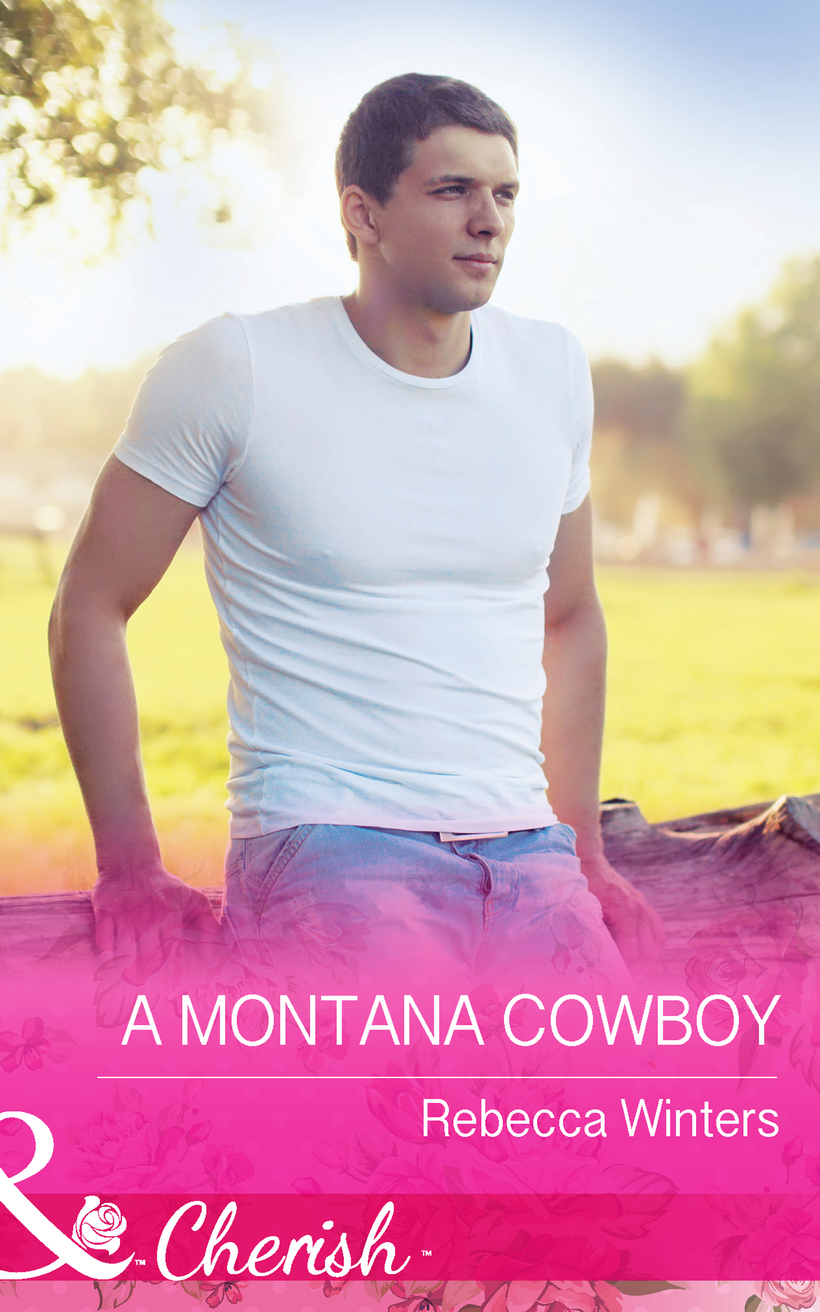 Обложка книги «A Montana Cowboy»