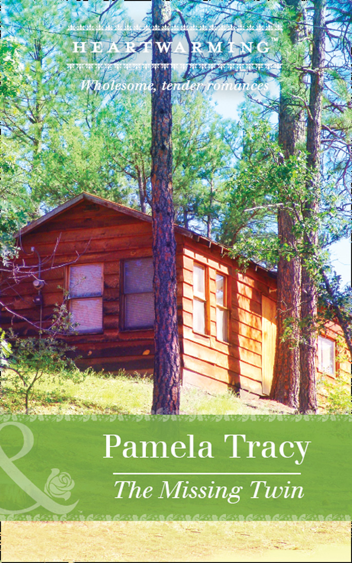 Обложка книги «The Missing Twin»