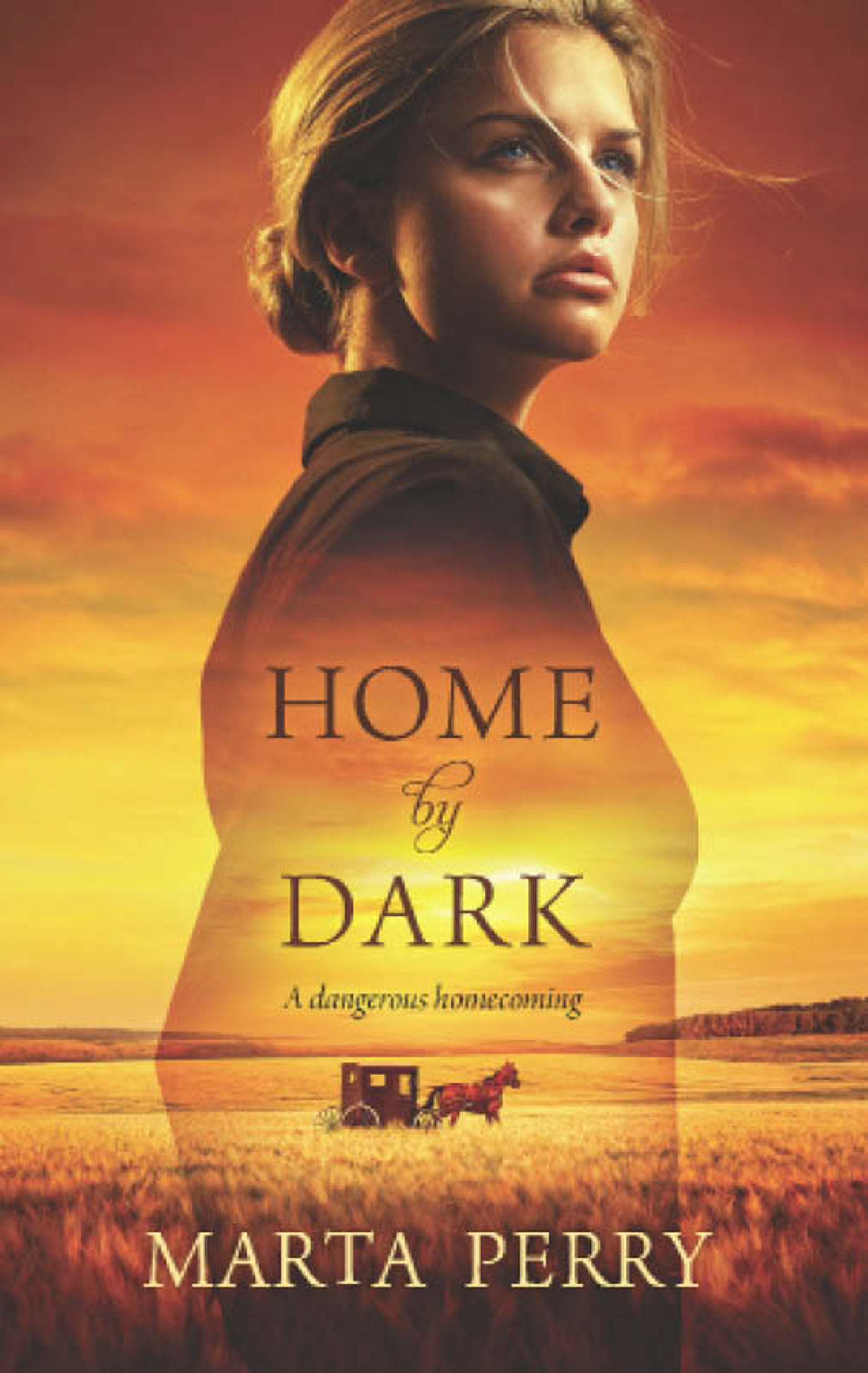Обложка книги «Home by Dark»