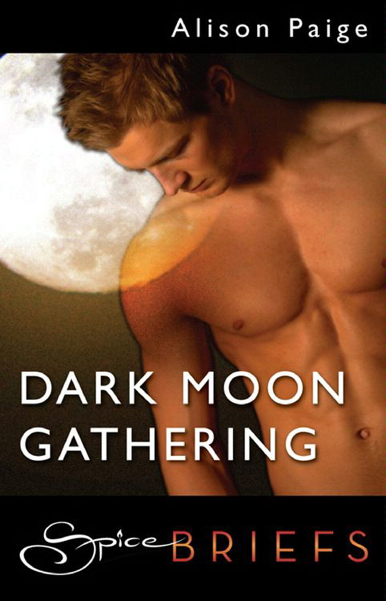 Обложка книги «Dark Moon Gathering»