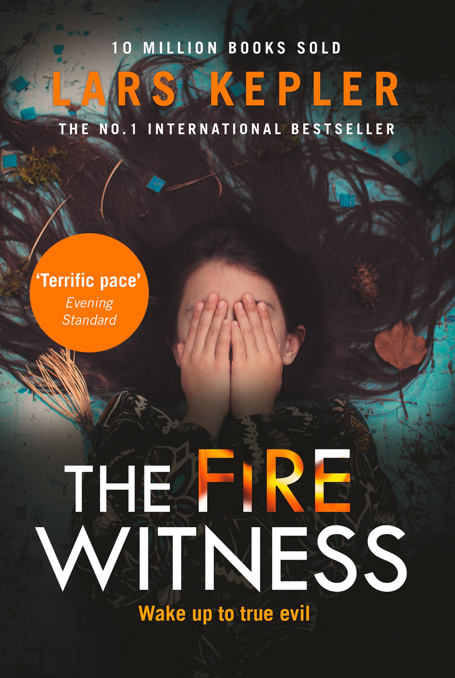 Обложка книги «The Fire Witness»