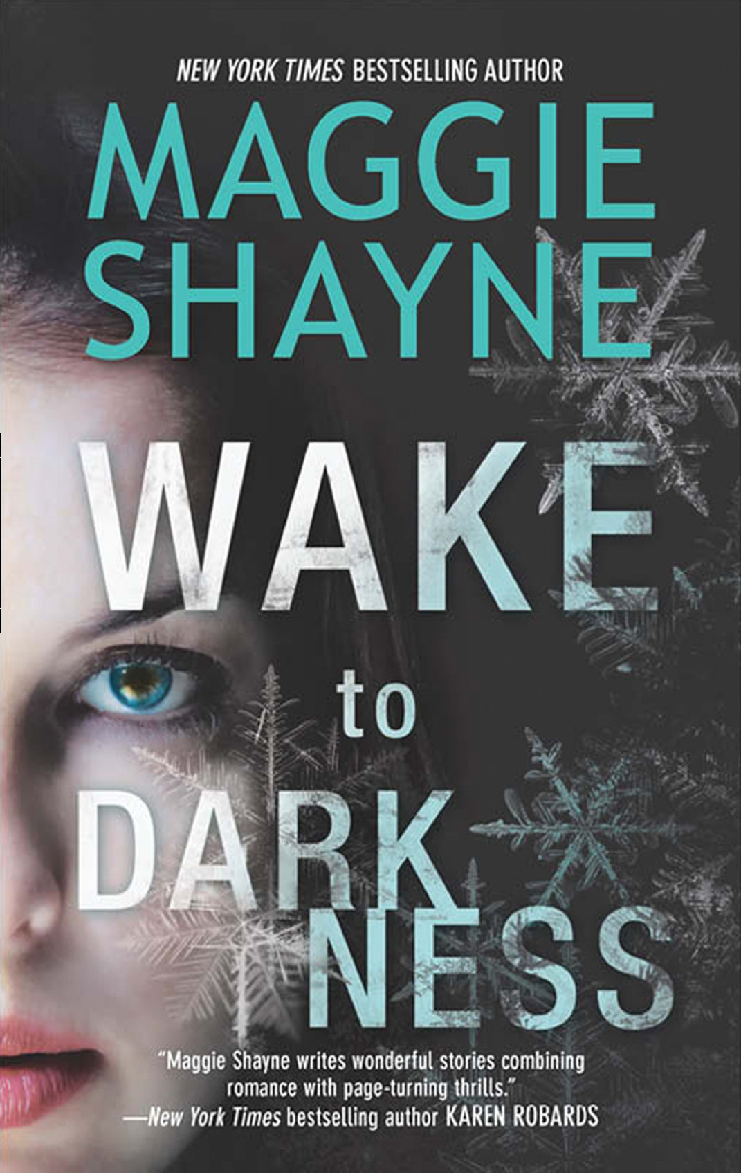 Обложка книги «Wake to Darkness»