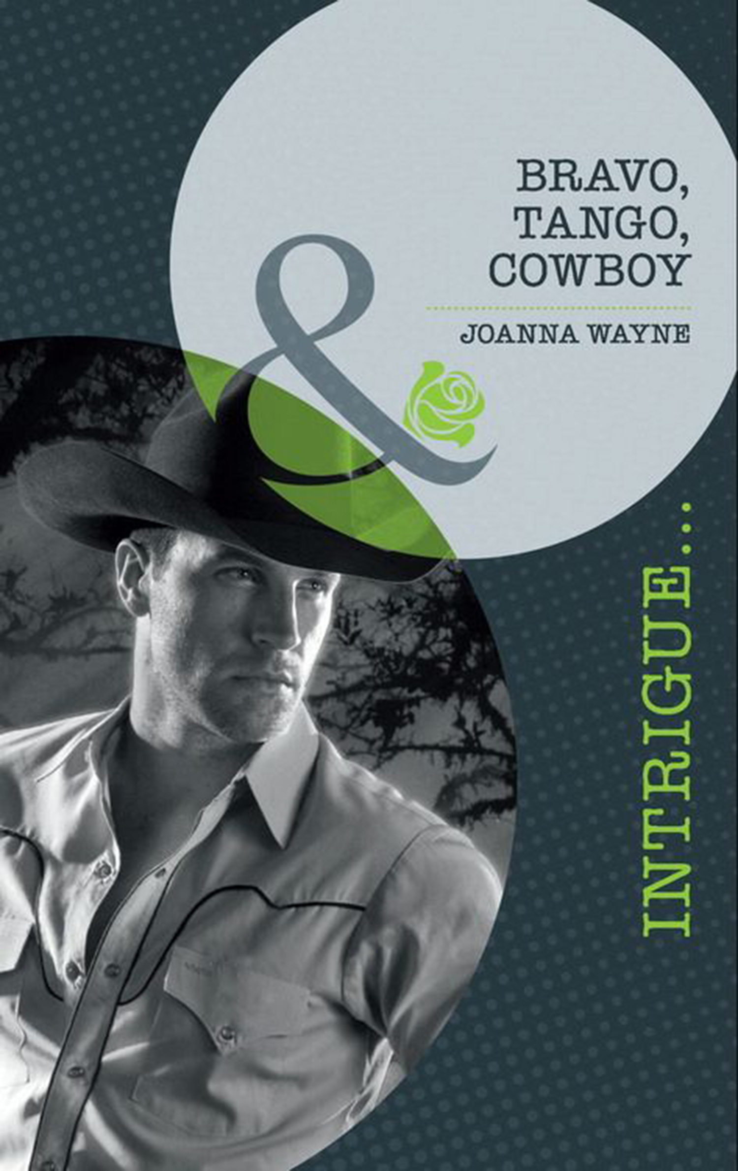Обложка книги «Bravo, Tango, Cowboy»