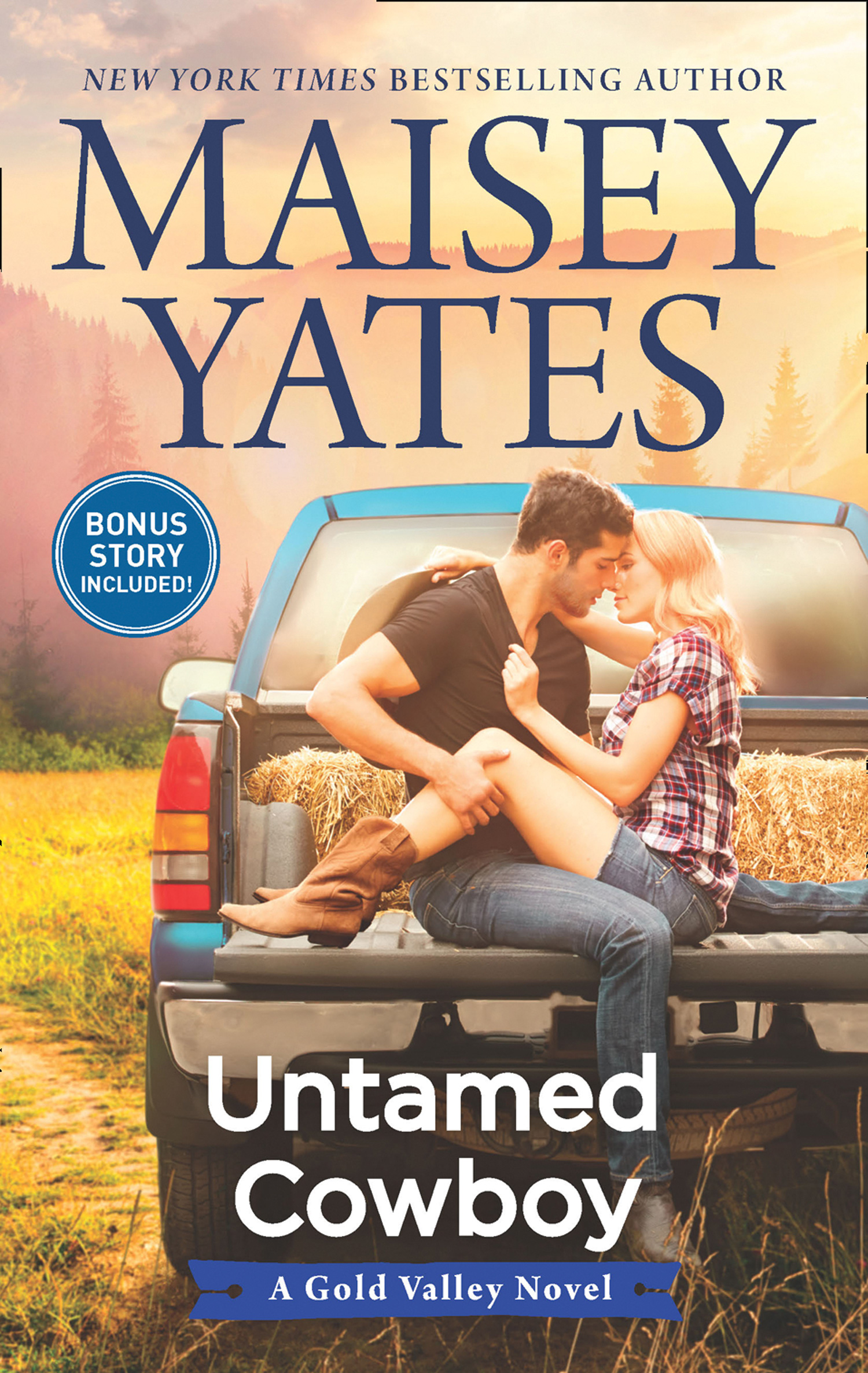 Обложка книги «Untamed Cowboy»