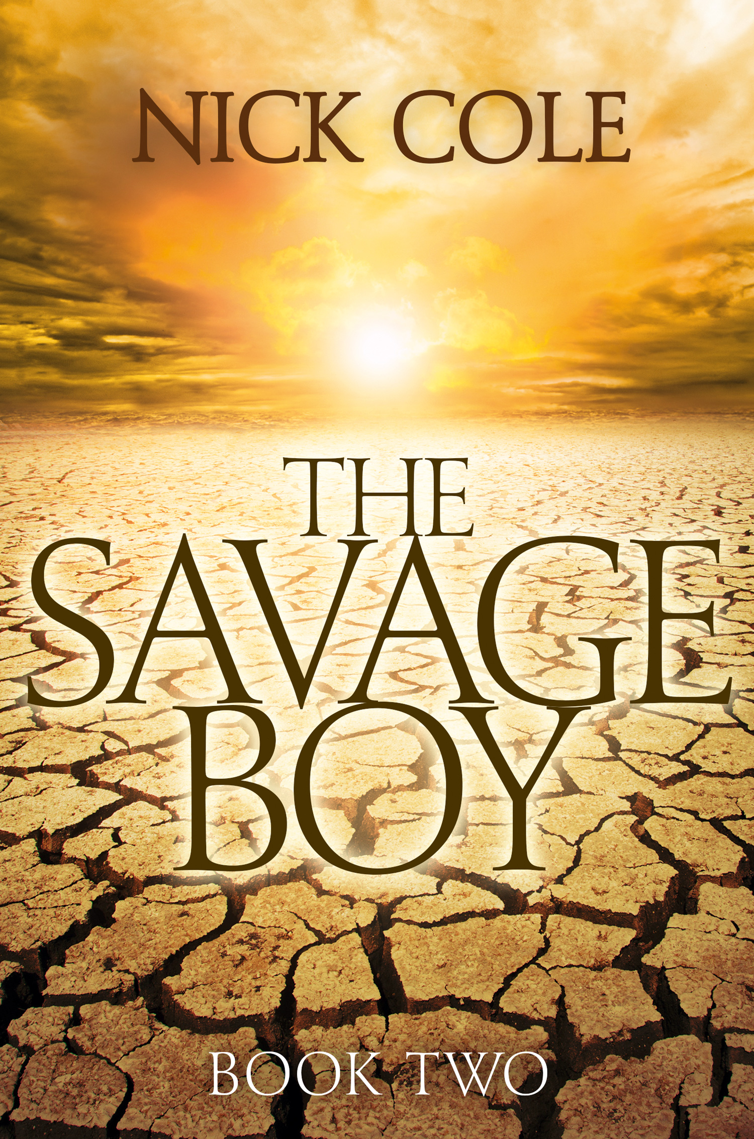 Обложка книги «Savage Boy»