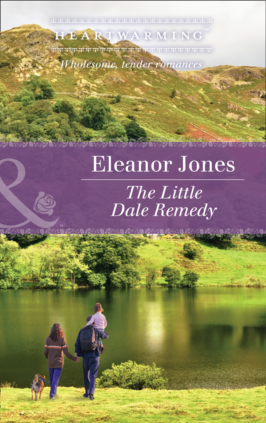 Обложка книги «The Little Dale Remedy»