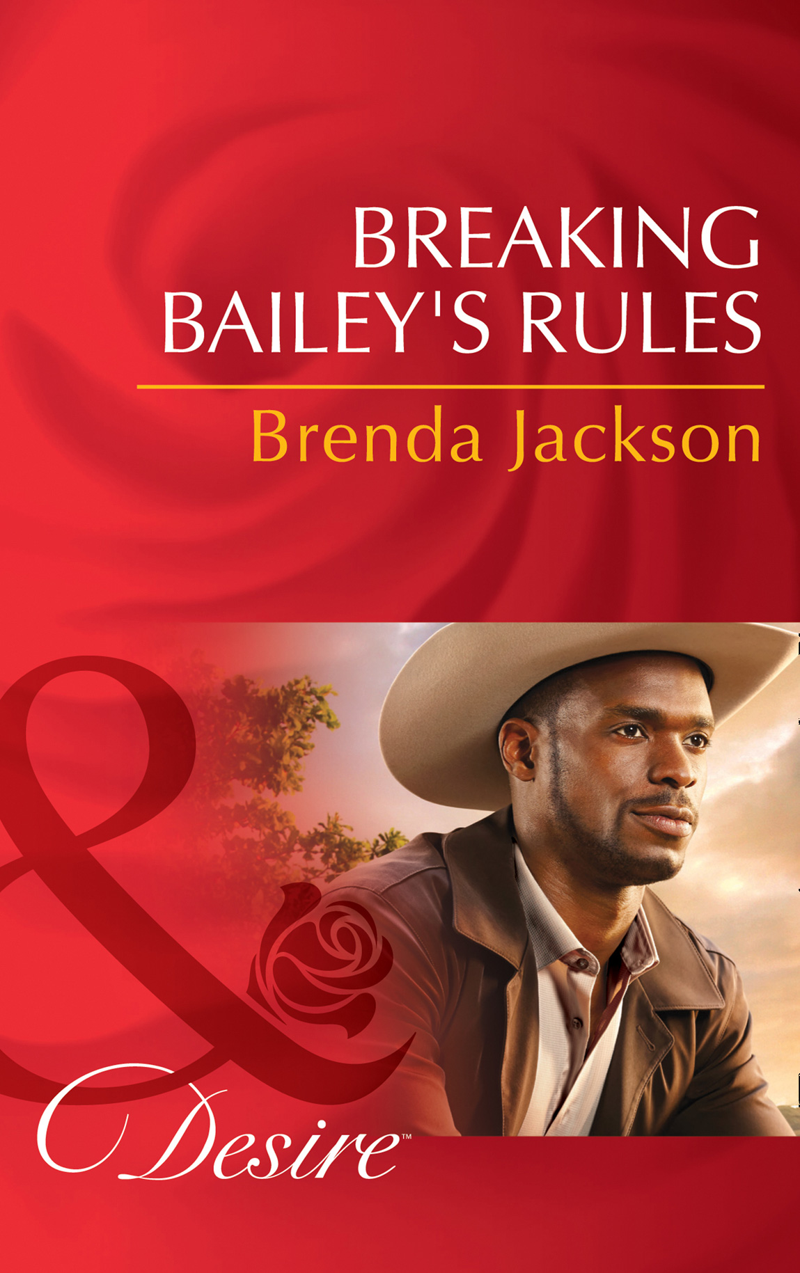 Обложка книги «Breaking Bailey's Rules»