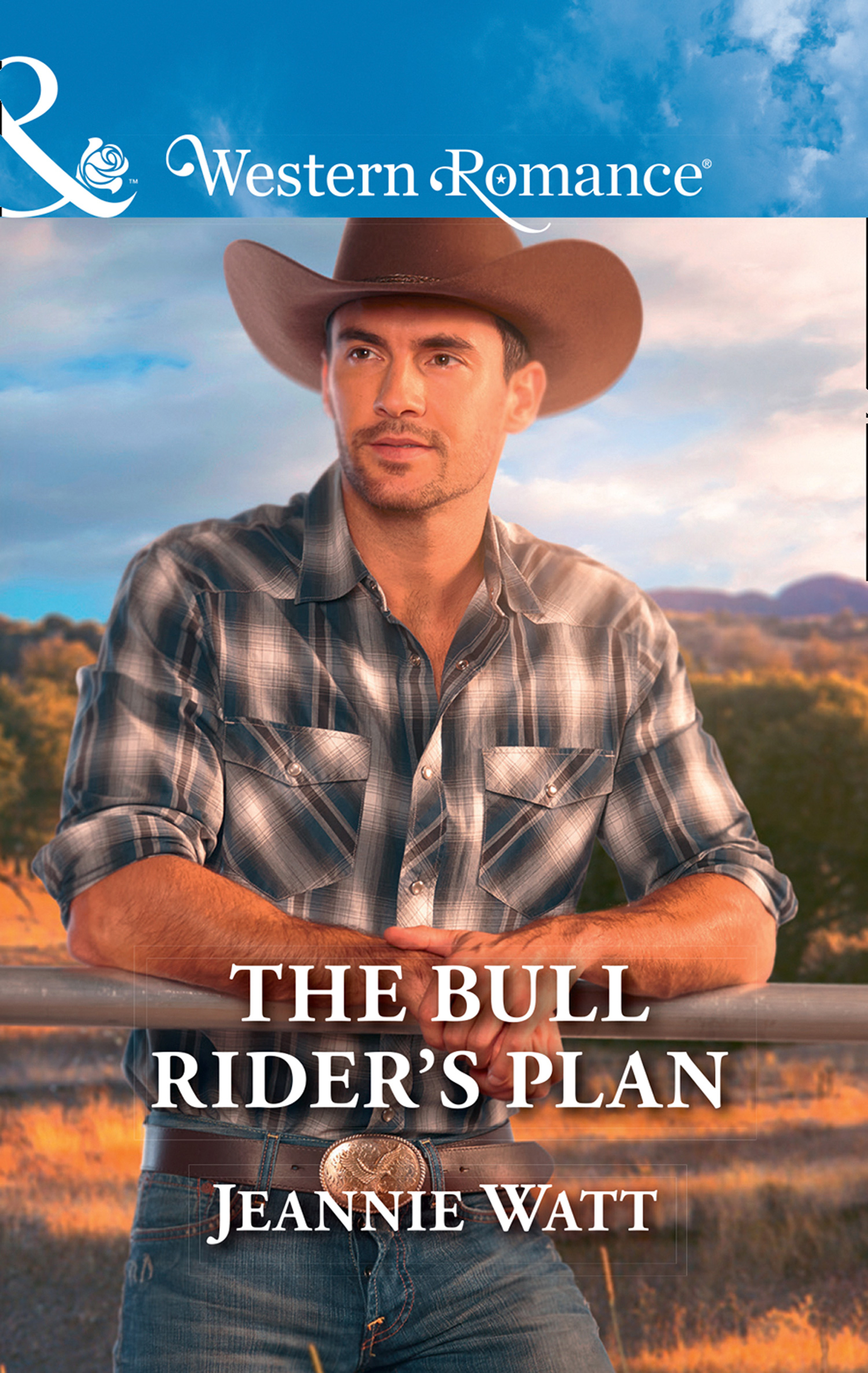 Обложка книги «The Bull Rider's Plan»