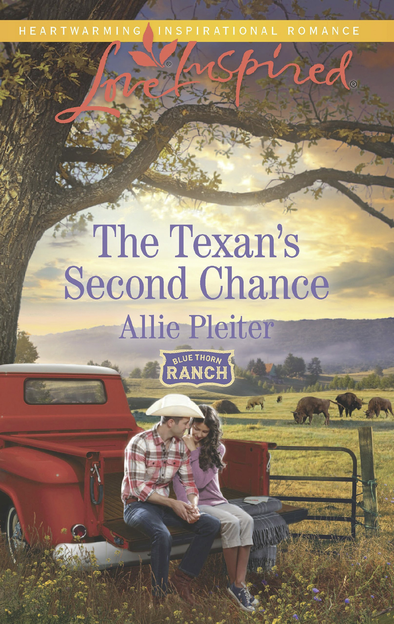 Обложка книги «The Texan's Second Chance»