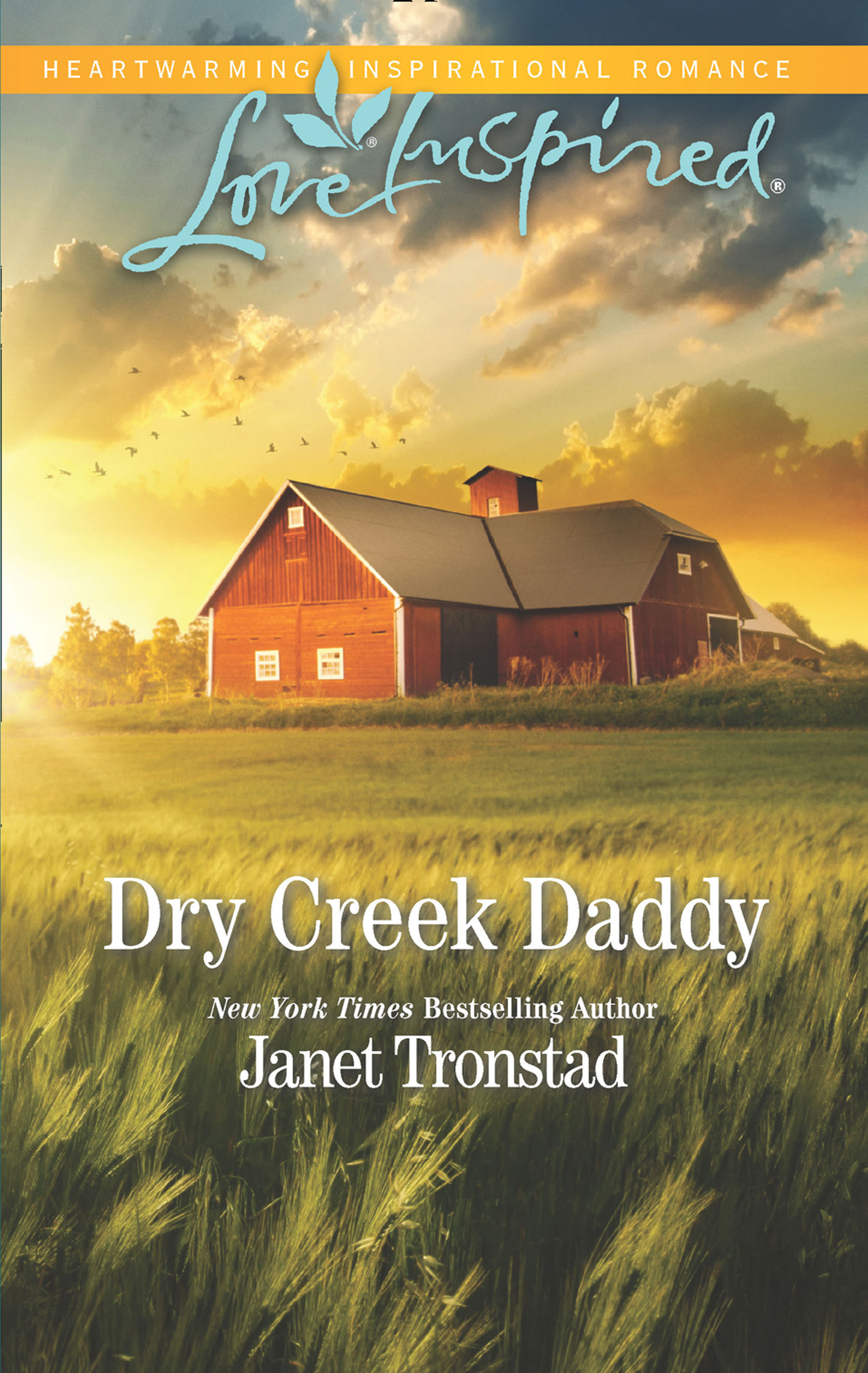 Обложка книги «Dry Creek Daddy»