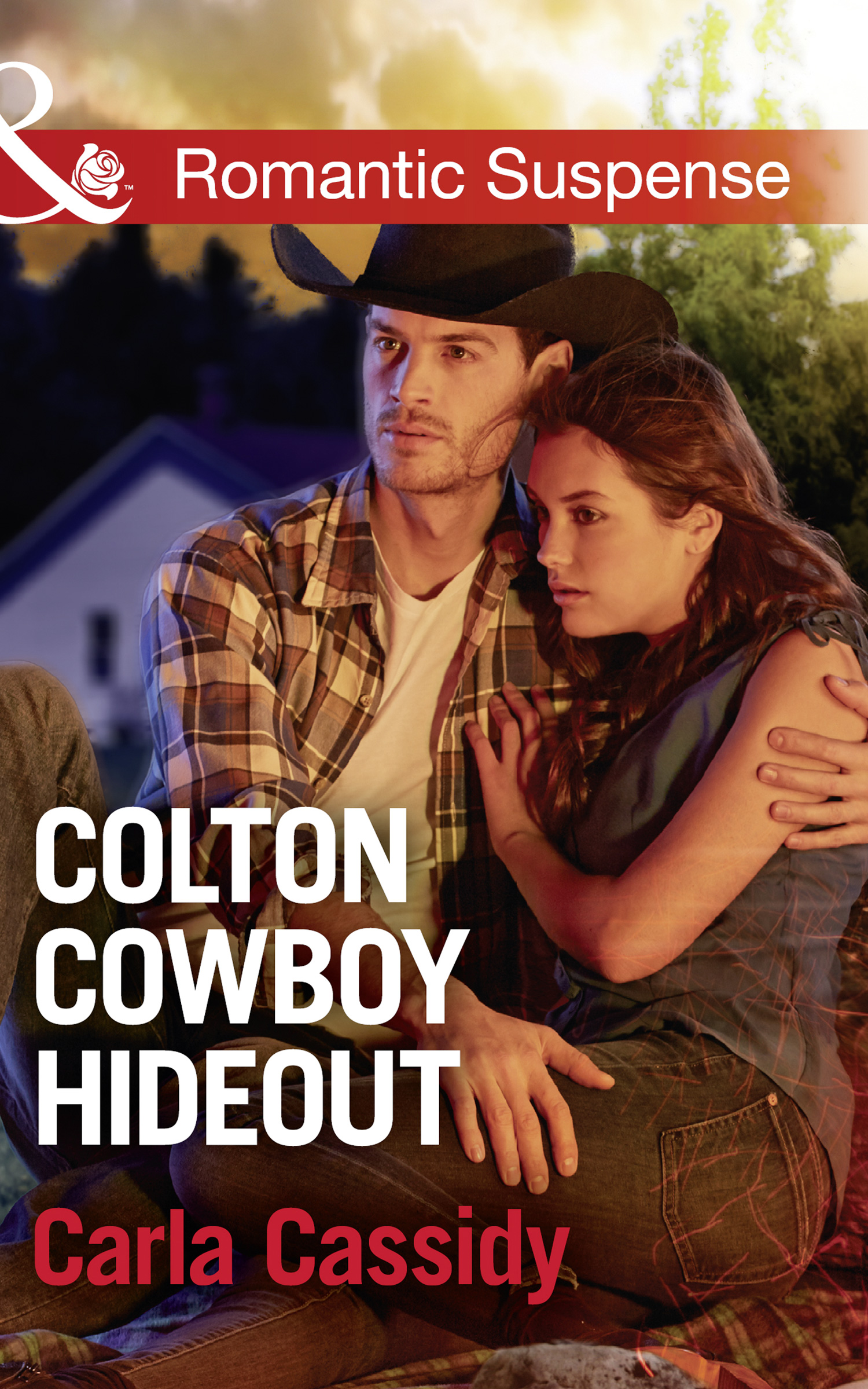 Обложка книги «Colton Cowboy Hideout»