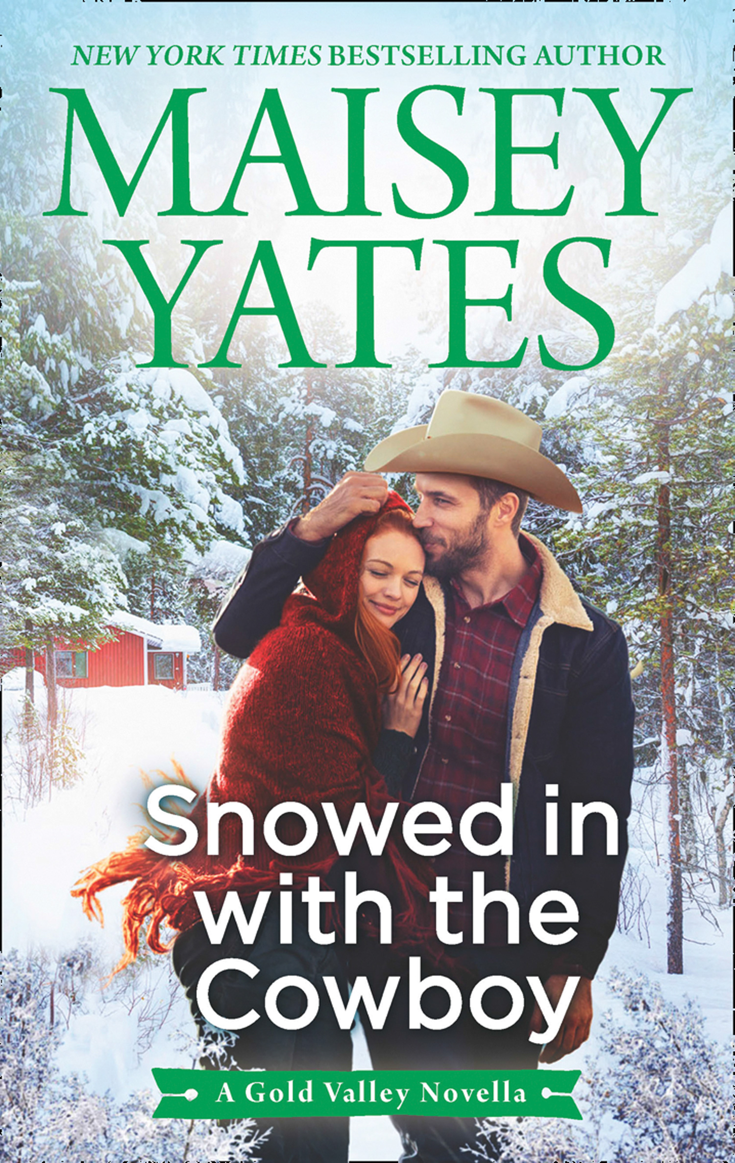 Обложка книги «Snowed in with the Cowboy»