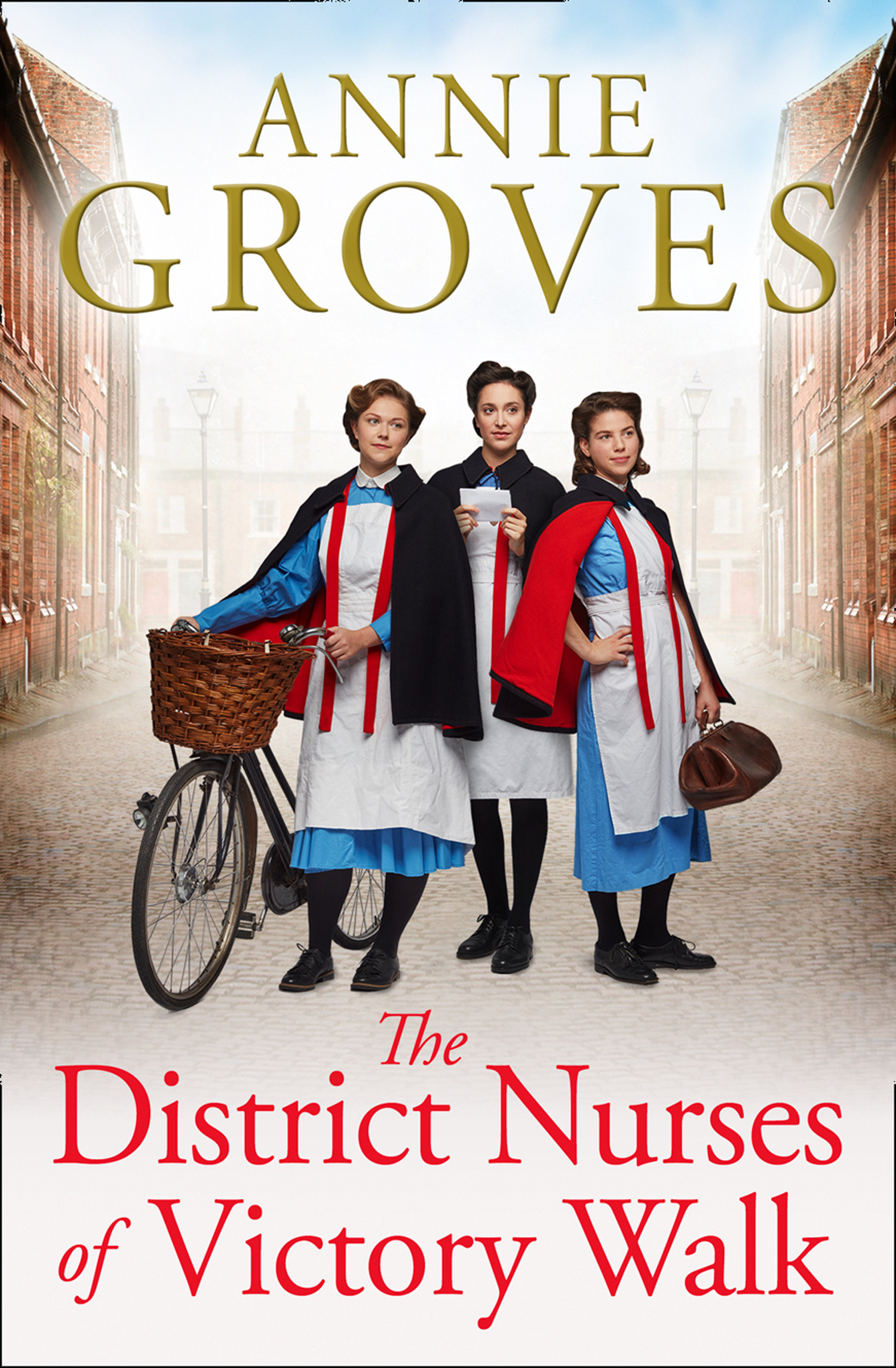 Обложка книги «The District Nurses of Victory Walk»