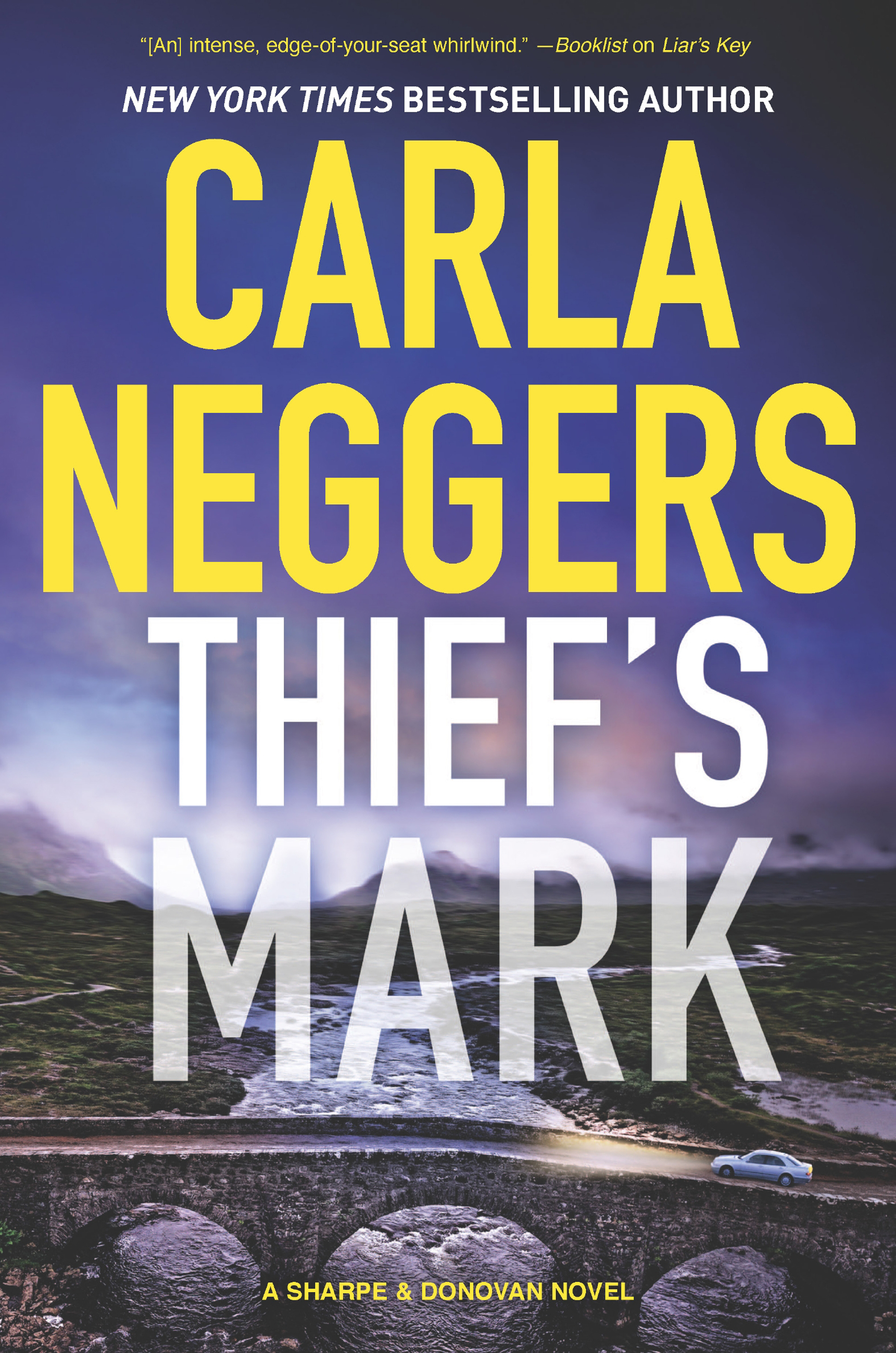 Обложка книги «Thief's Mark»