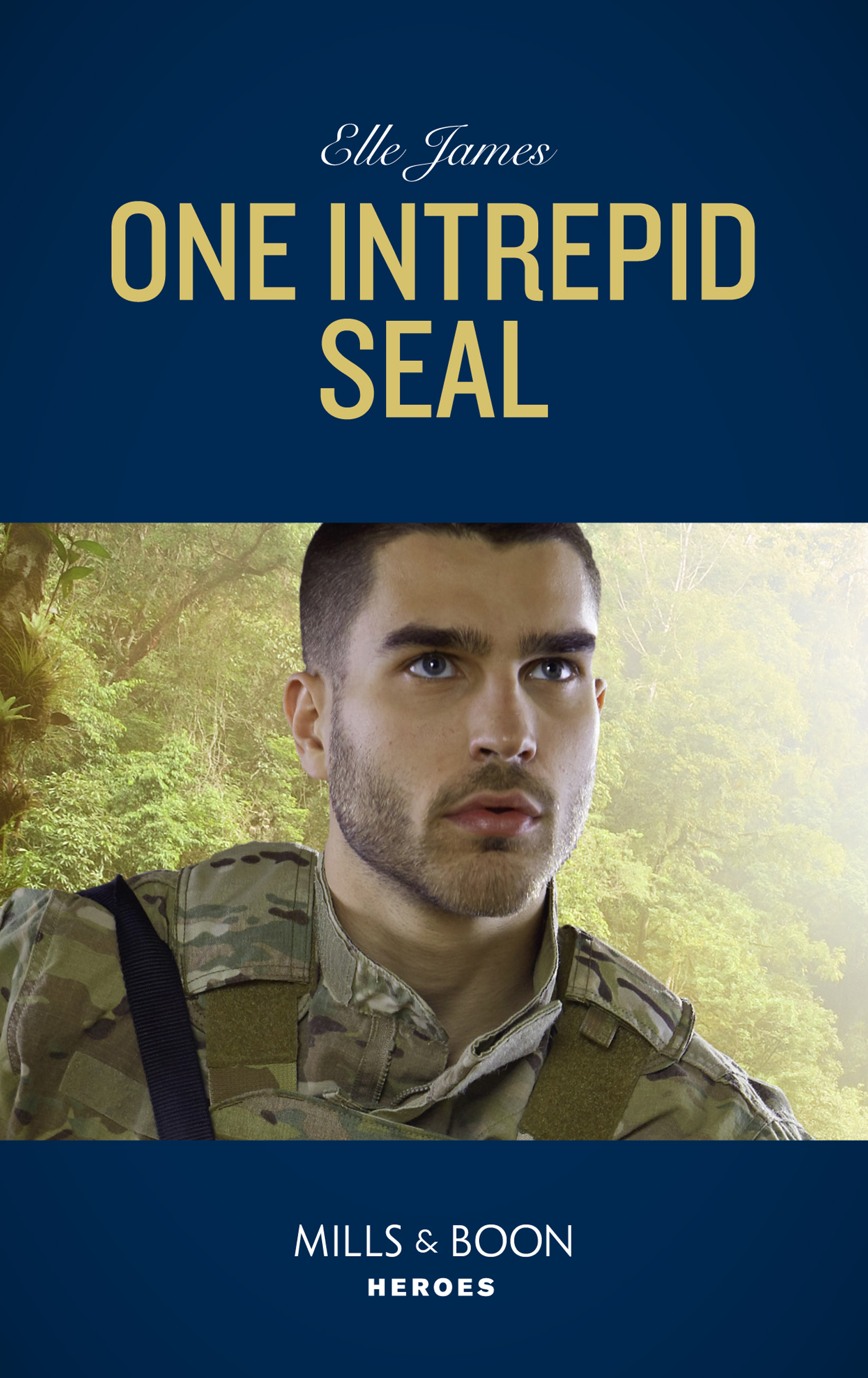 Обложка книги «One Intrepid Seal»